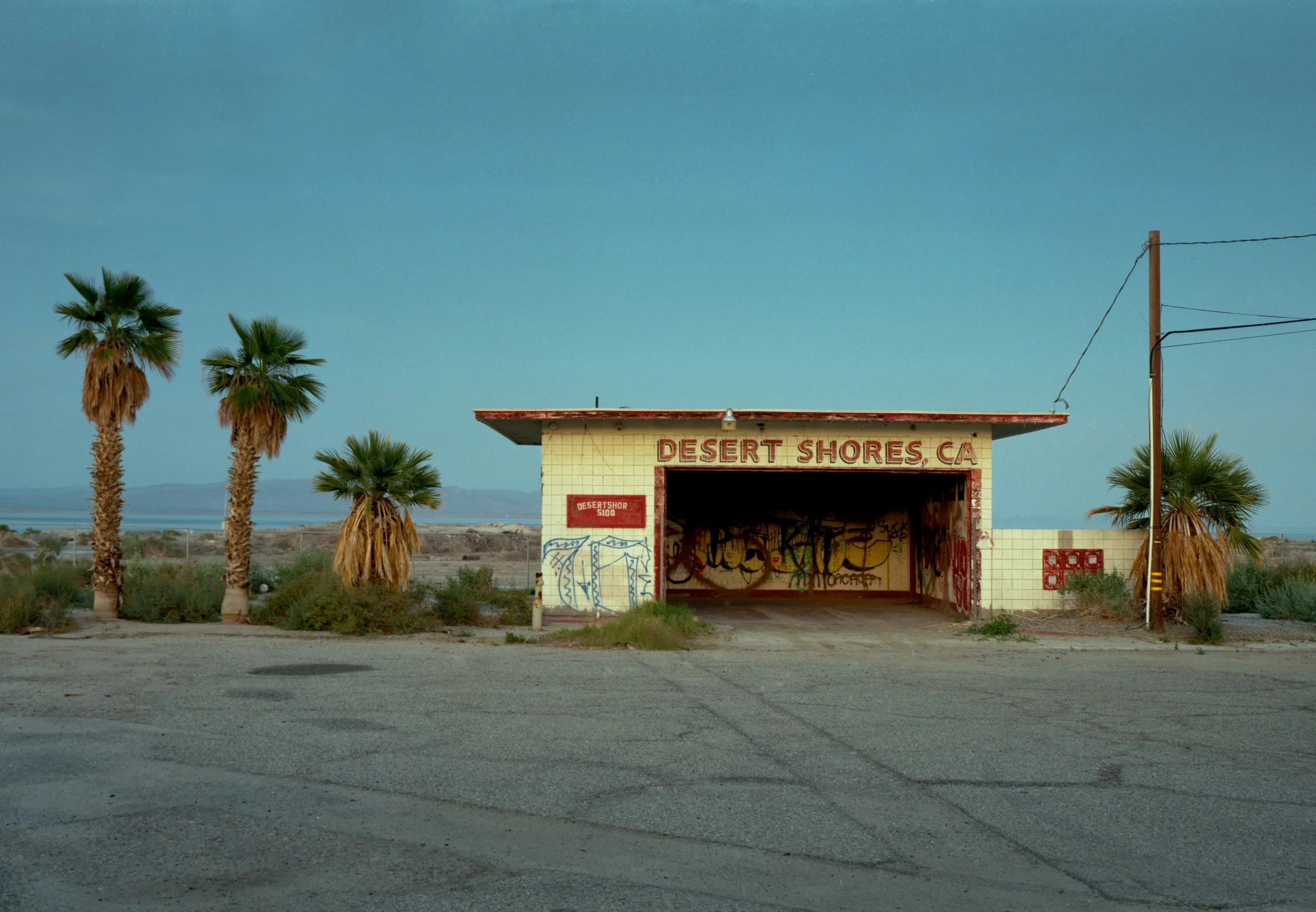 desert shores copy.jpg