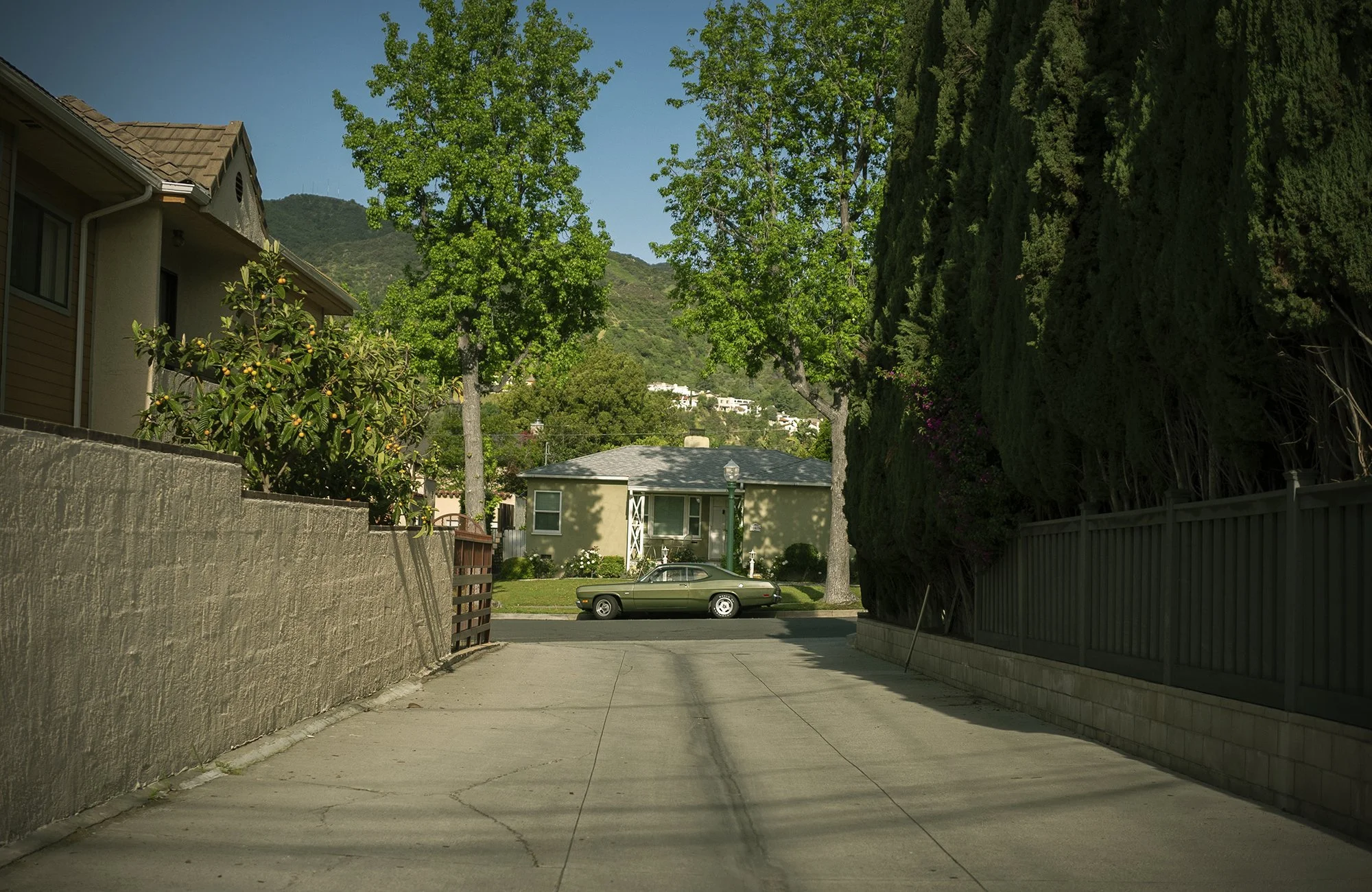 L1070042.jpg