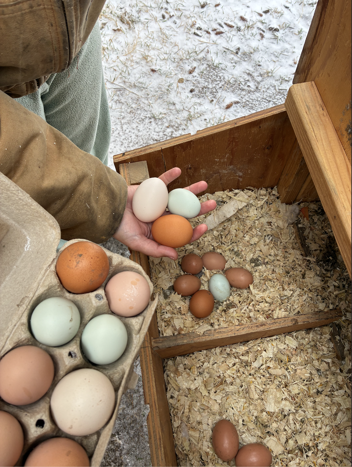 Screenshot 2026-03-14 at 2.07.28 PM.png