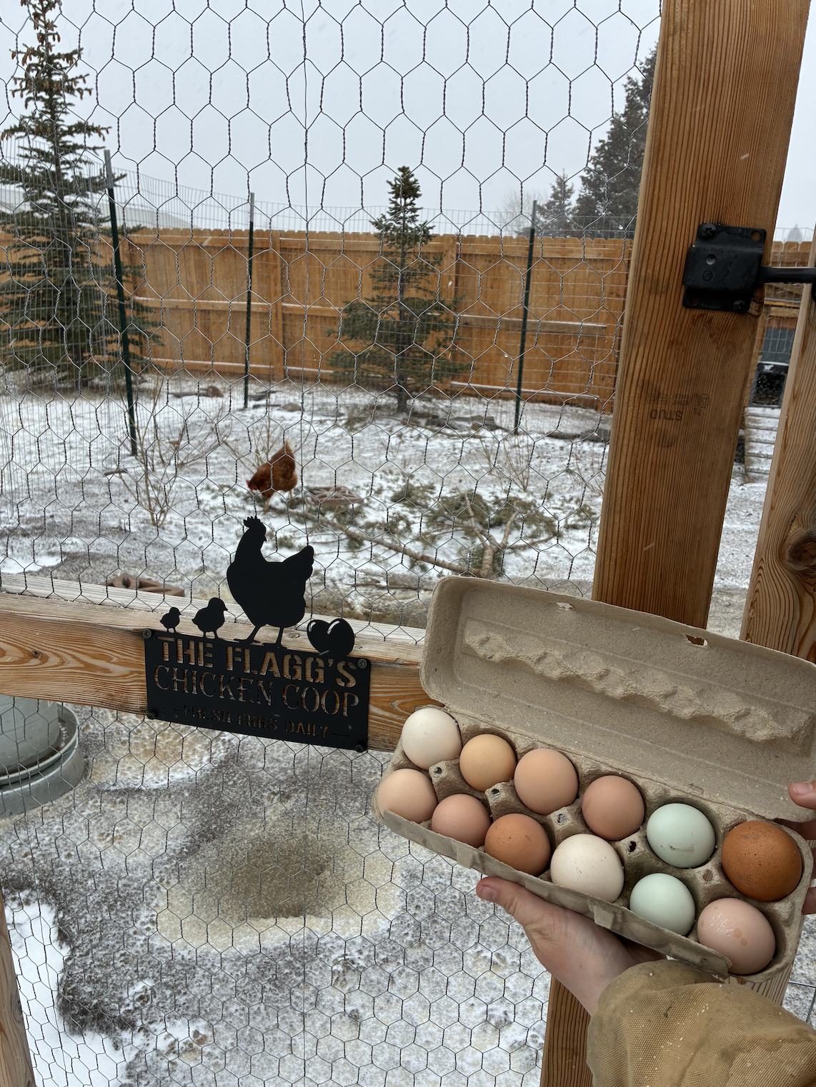 Screenshot 2026-03-14 at 2.07.09 PM.png