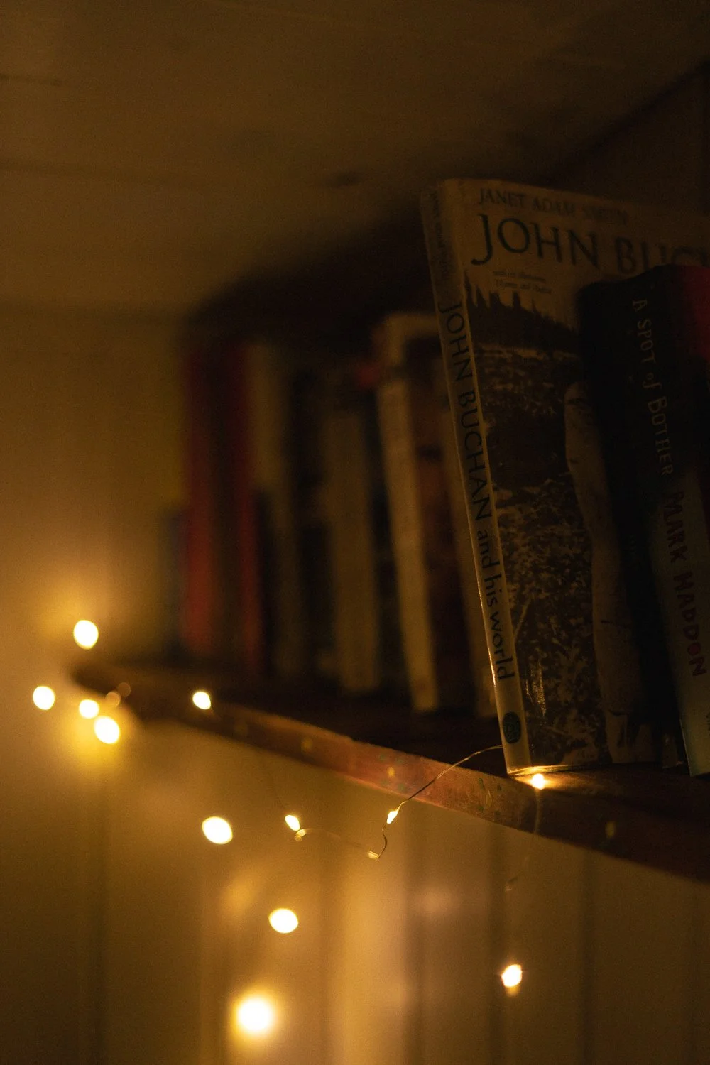 Shepherds hut books.jpg