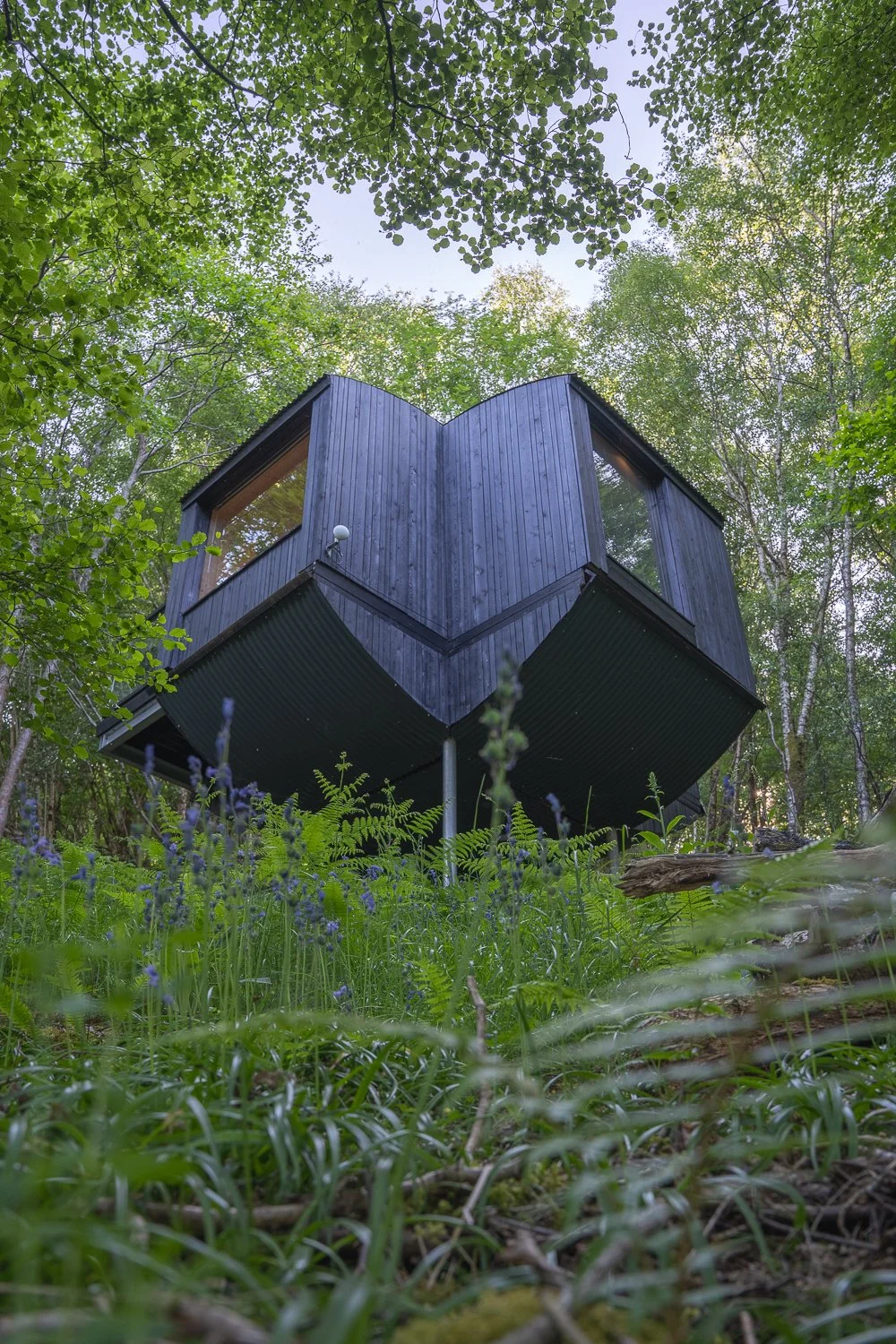 Tree Hoose exterior.jpg