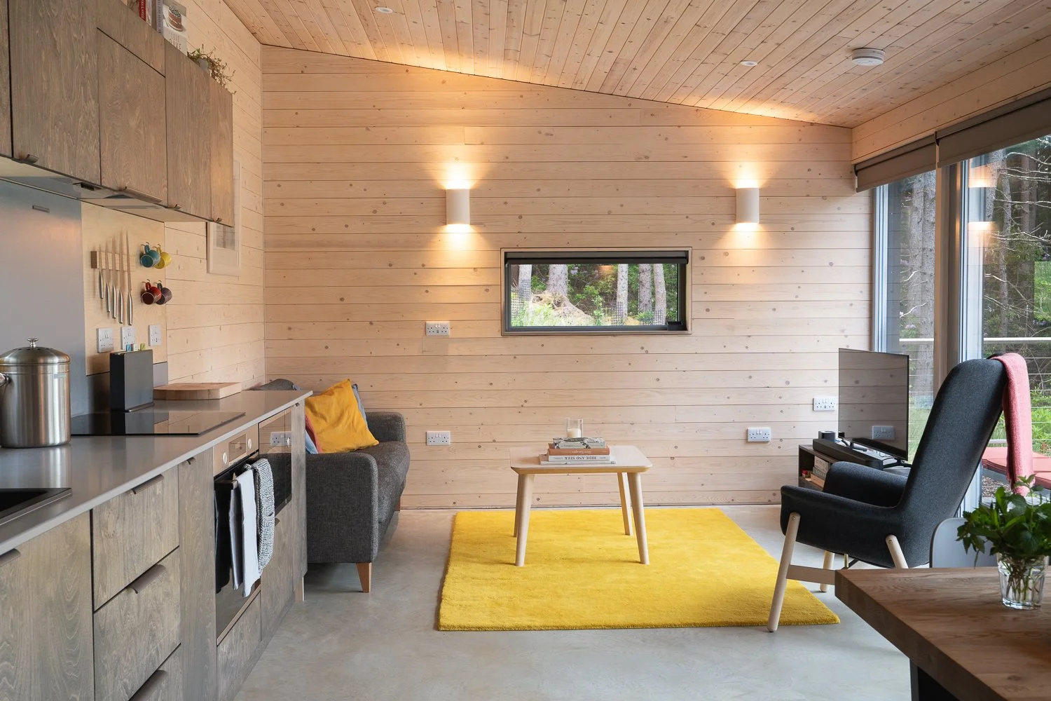 Ecotone cabin living room.jpg