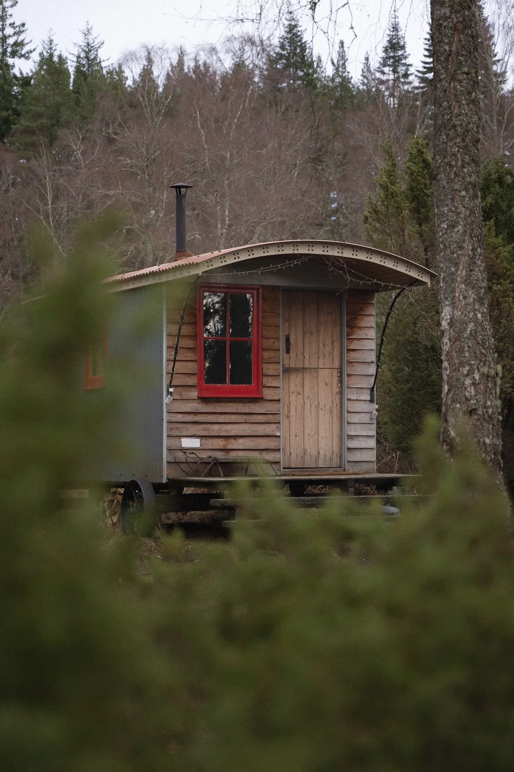 Rustic shepherd's hut nestled in nature, perfect for a tranquil escape.