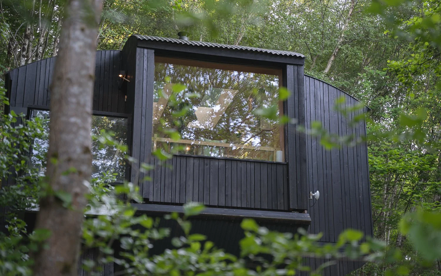 Tree Hoose exterior 3.jpg