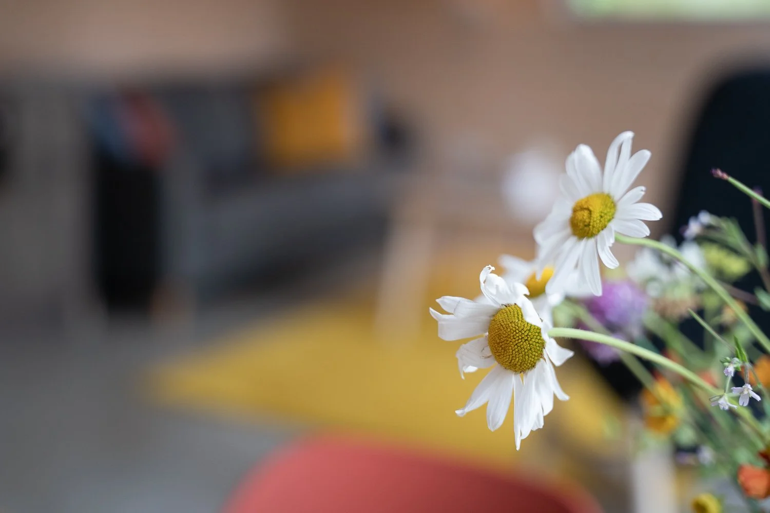 Ecotone Cabins living space 6.jpg