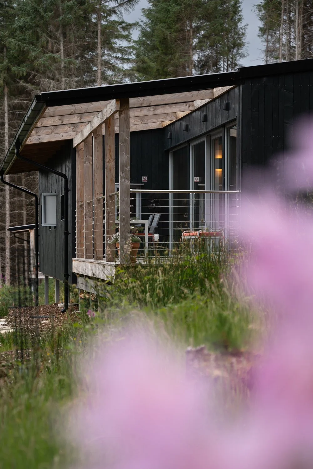 Ecotone cabin exterior 5.jpg