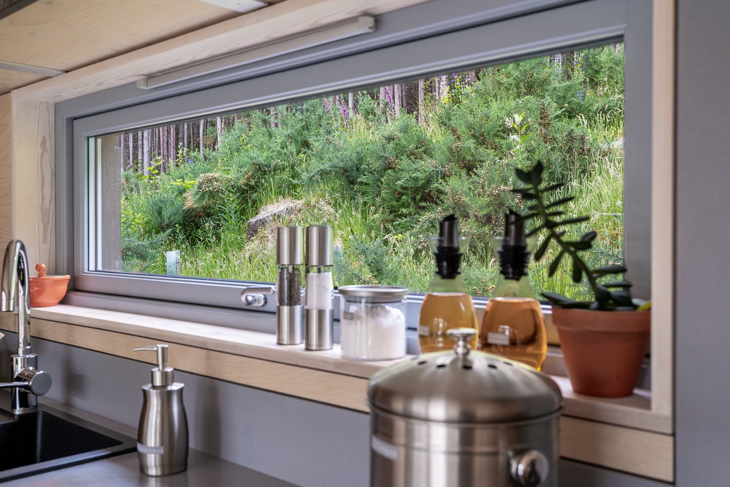 kitchen window with flowers.jpg