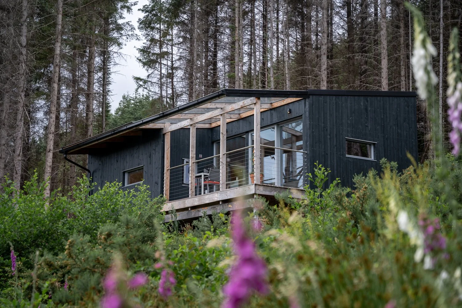 Ecotone Cabins exterior 1.jpg