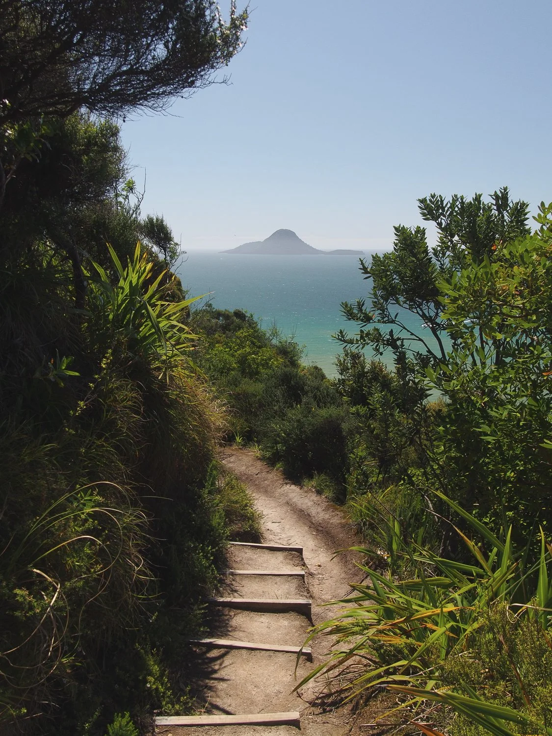 A scenic path through lush greenery with stunning sea views.