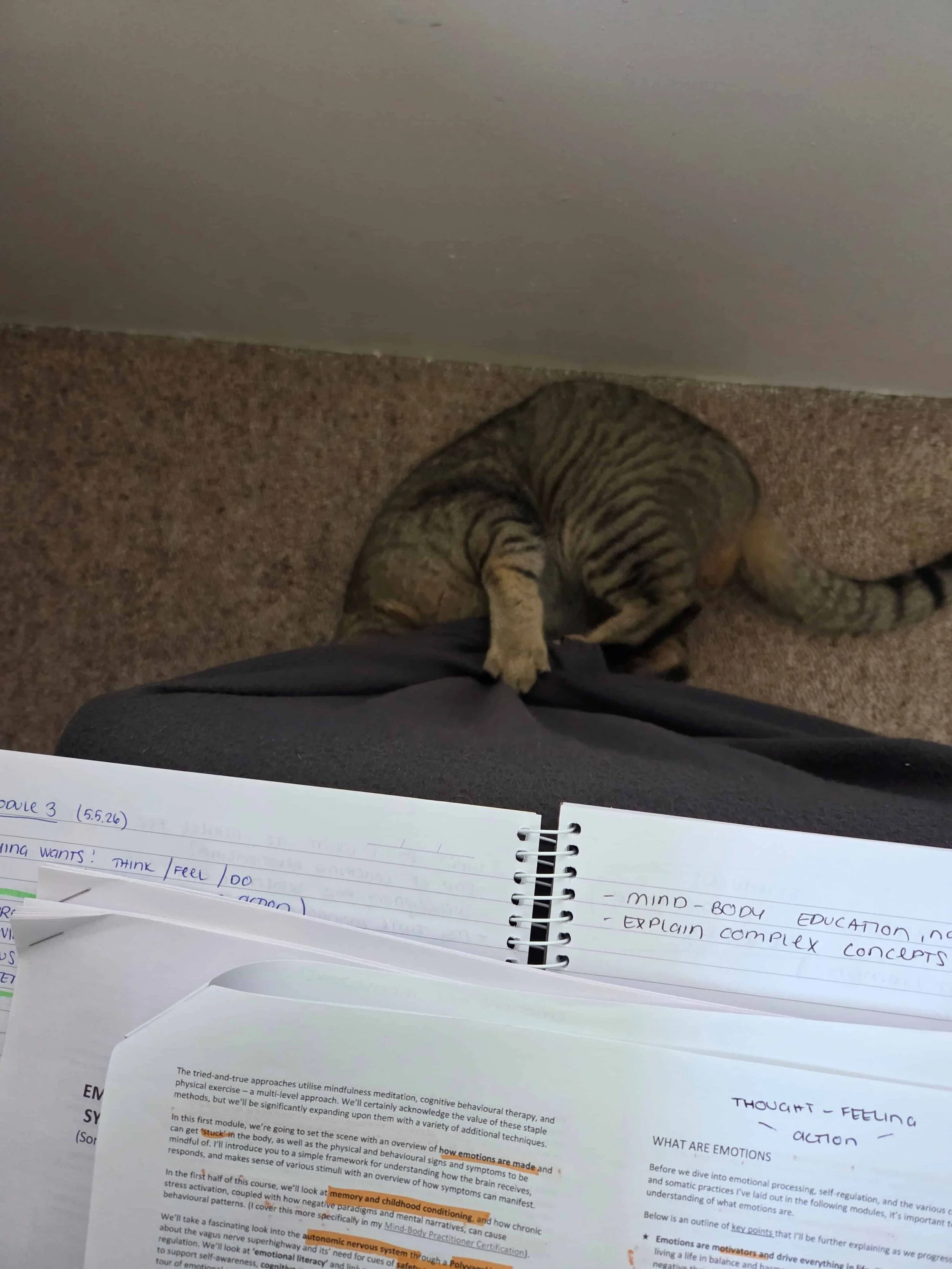 studyhealth4.jpg