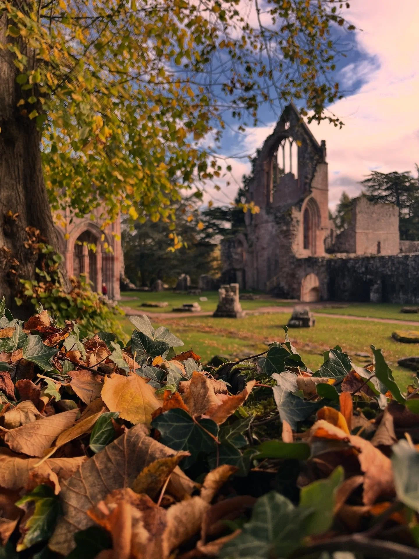 Autumn in The Borders

Dreamy Dryburgh Abbey today 🍂🍁

#scottishborders #scotlandstartshere