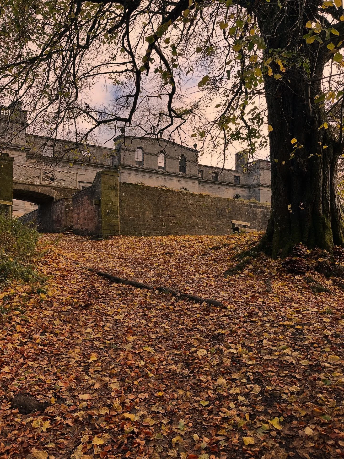 Penicuik in autumn 🍂 

A stunning autumnal day, leading a tour of house and the designed landscape of @penicuikestate - truly a jewel of Enlightenment Scotland, and a dozen generations of the Clerk families influence.  I&rsquo;m delighted to work wi