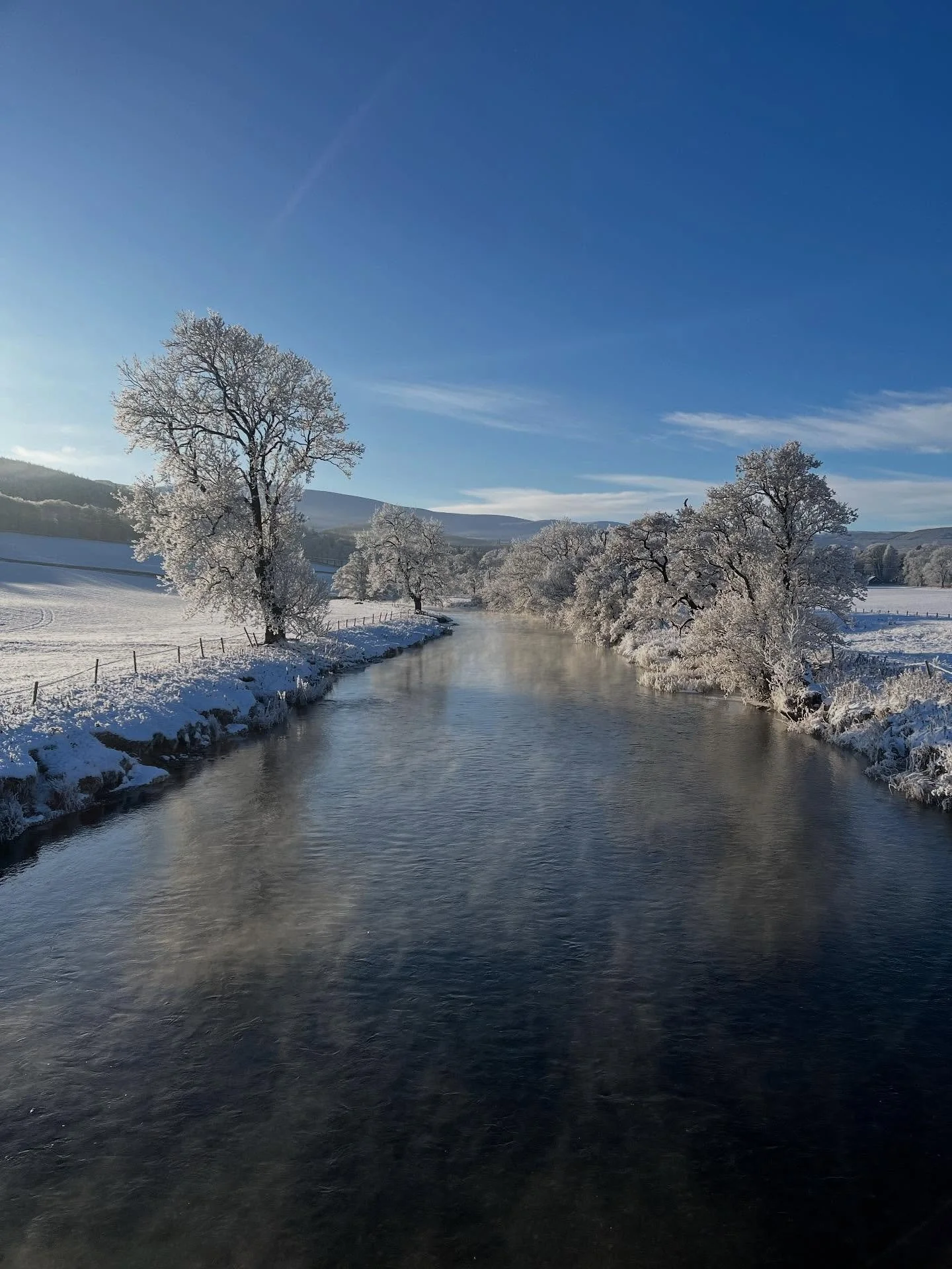 The merest hint of a dusting of wet snow this morning has me daydreaming of days like these in the borders.  The last two winters have not given us much of this sort of winter wonderland, these are from 2019 - 2022&hellip; 🥶