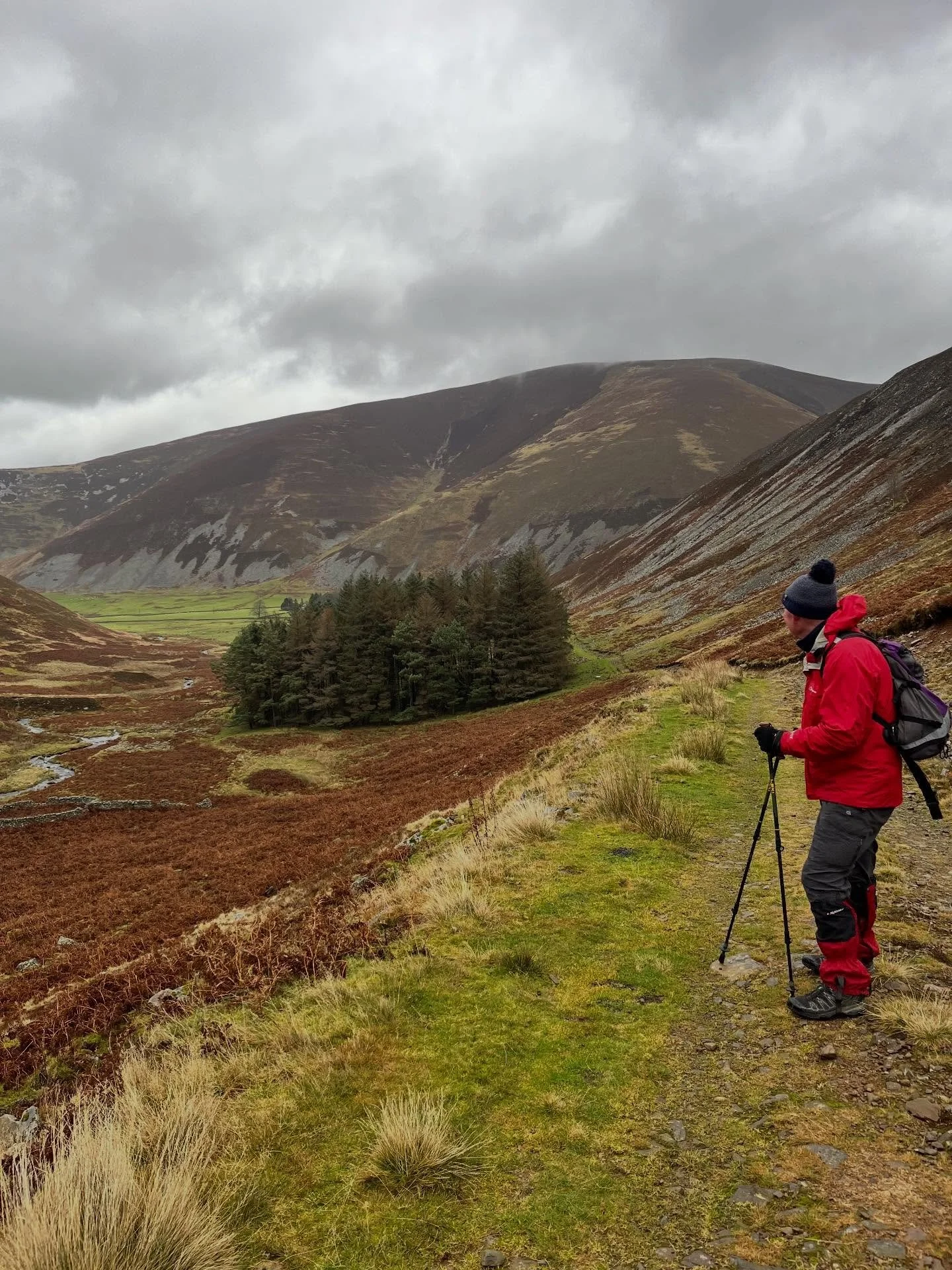 Gloomy weather? ✅
Hares and buzzards? ✅
Swollen burns and platchy mud? ✅
Inquisitive bullocks? ✅
Geology and Geography chat? ✅

It can only be the start of the winter hiking season in the Manor Hills.  Any day in the hills with dad is a good one, and