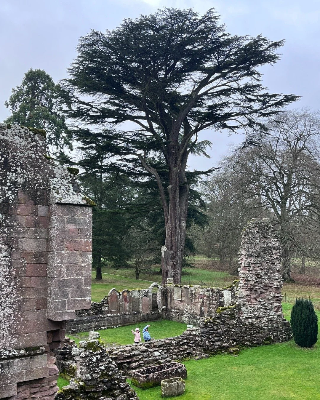 Dryburgh Abbey is a romantic ruin on the River Tweed, wrapped in tranquillity and stunning woodlands.  Dryburgh is a  bit of an outlier among the Abbeys with no town growing alongside it - a place of reflection and peace, and Sir Walter Scott&rsquo;s