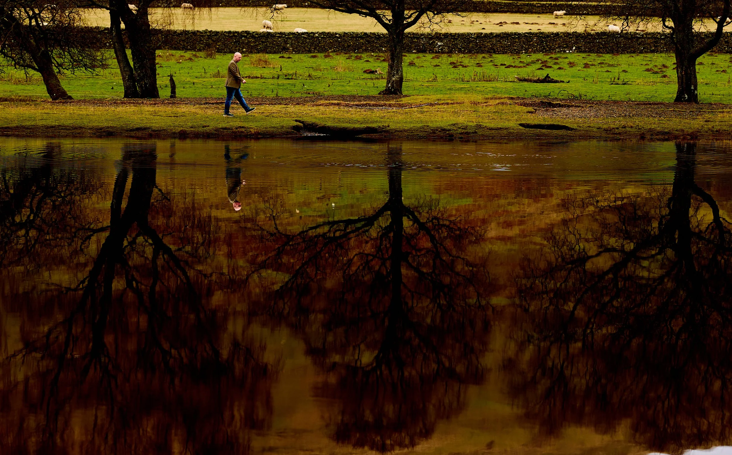 Reflections from The Borders - May 2026