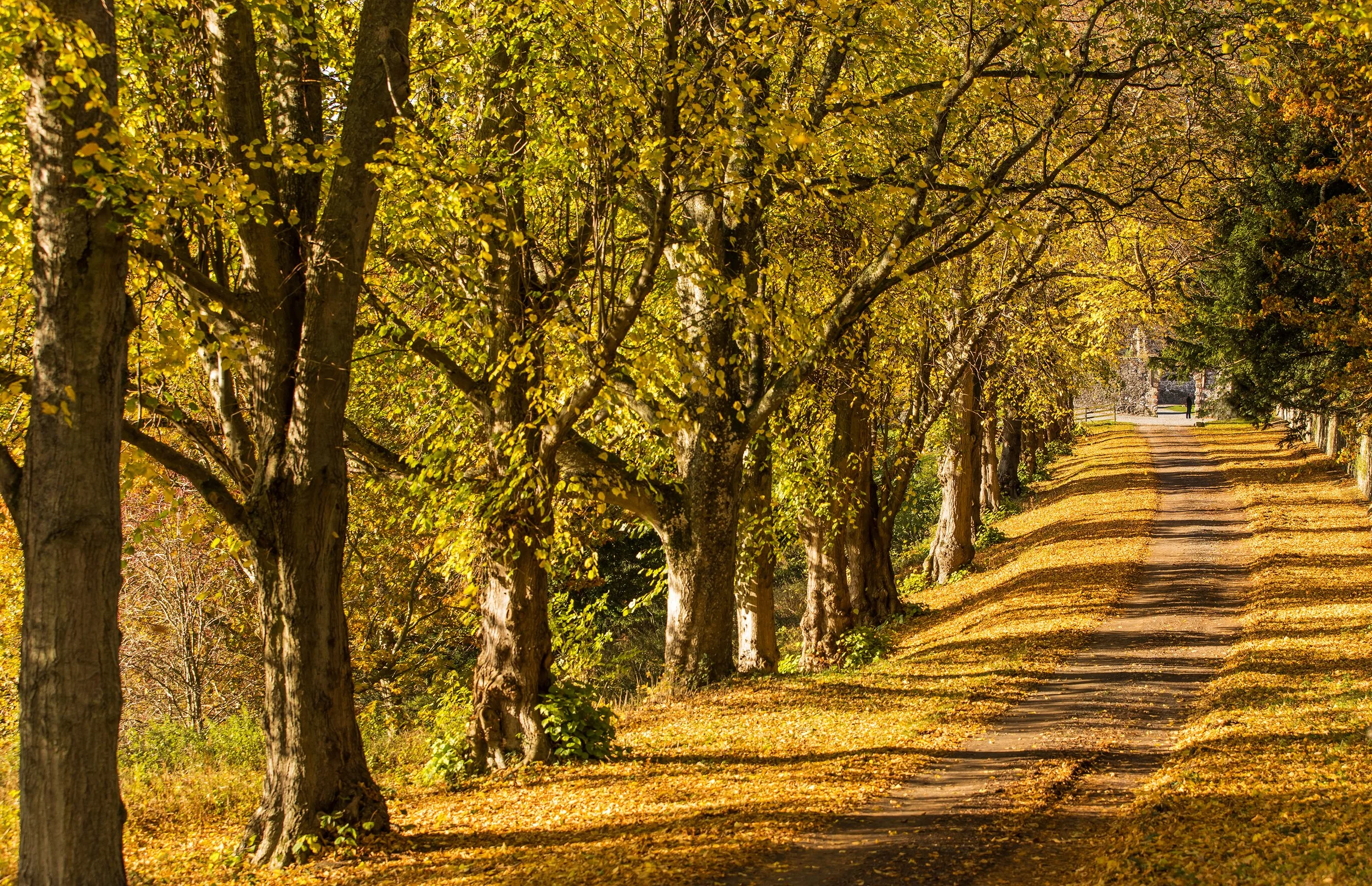 Cosy Pubs and Autumn Walks