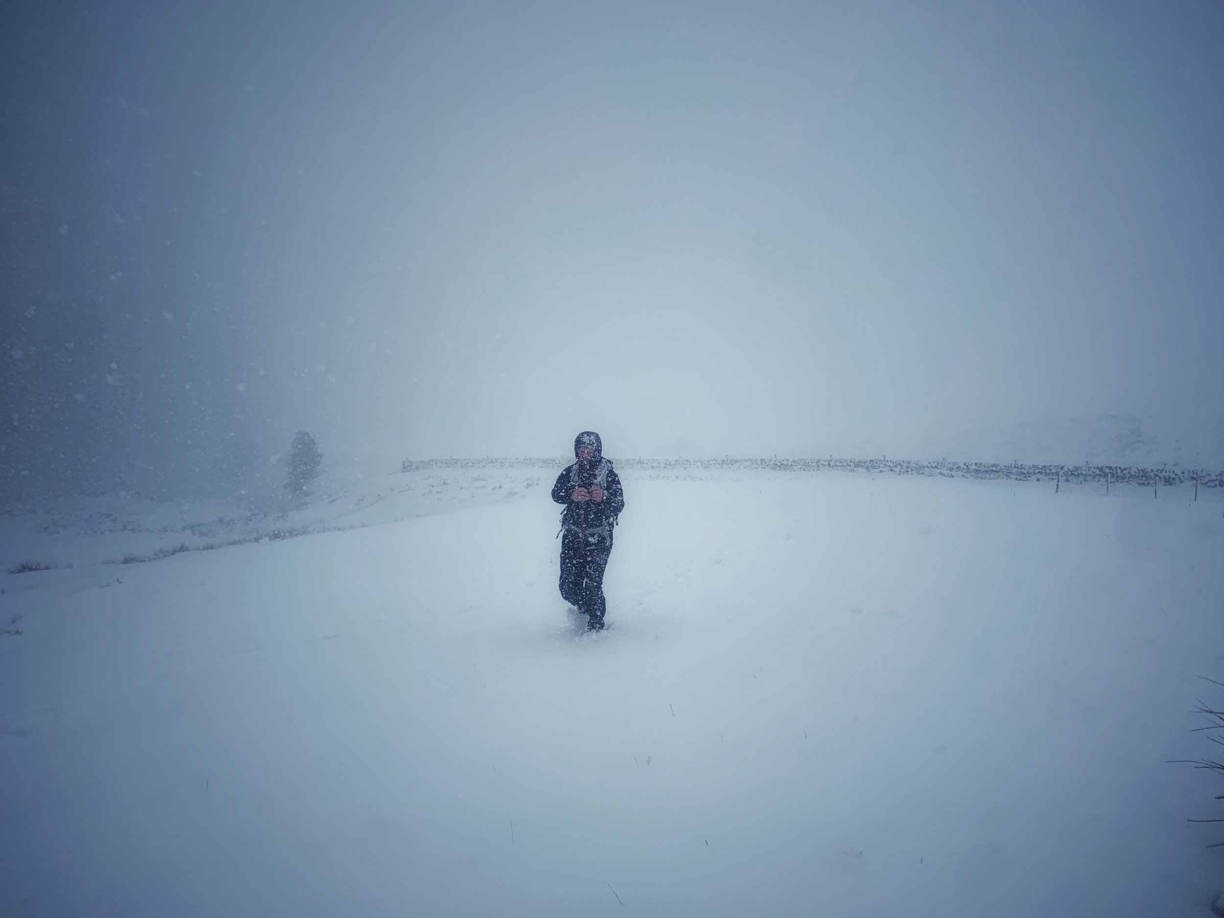 More scottish borders Winter Walks! 