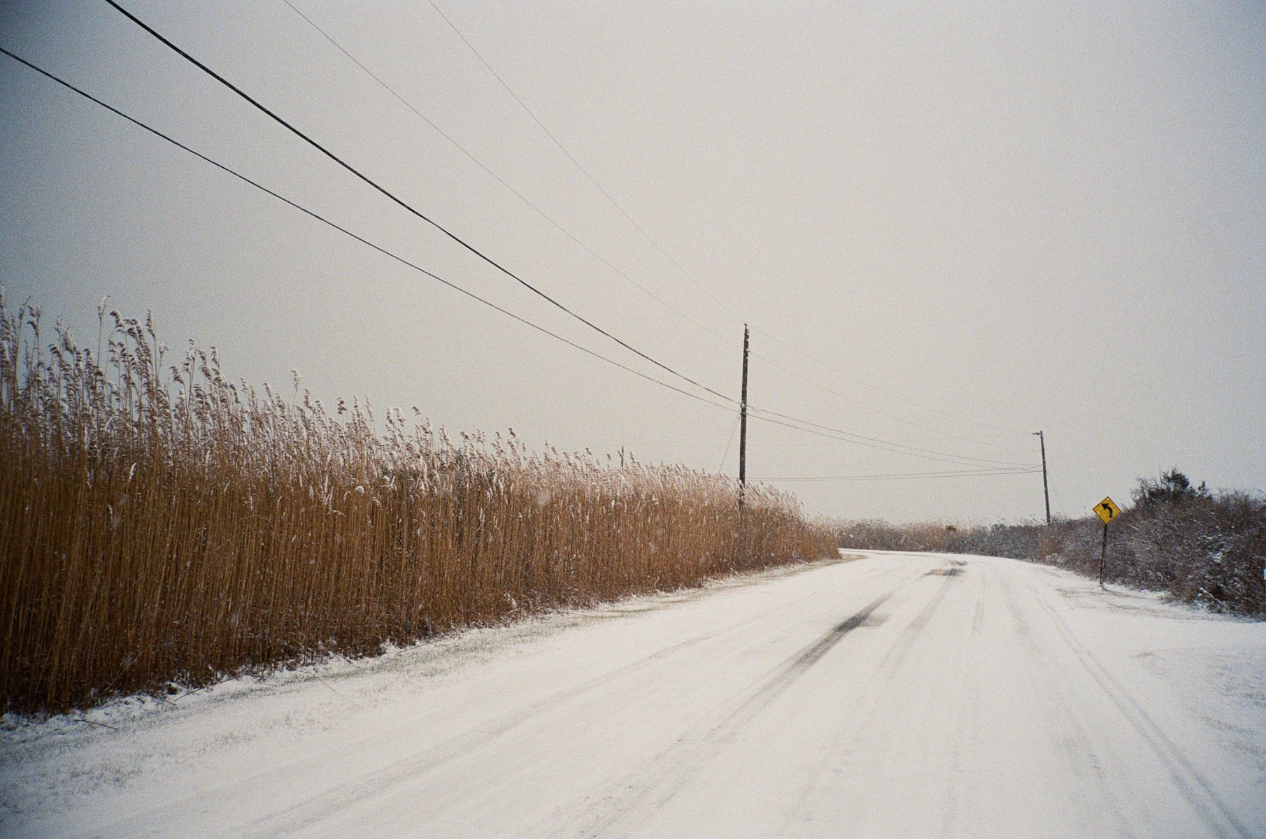 Snowy Day