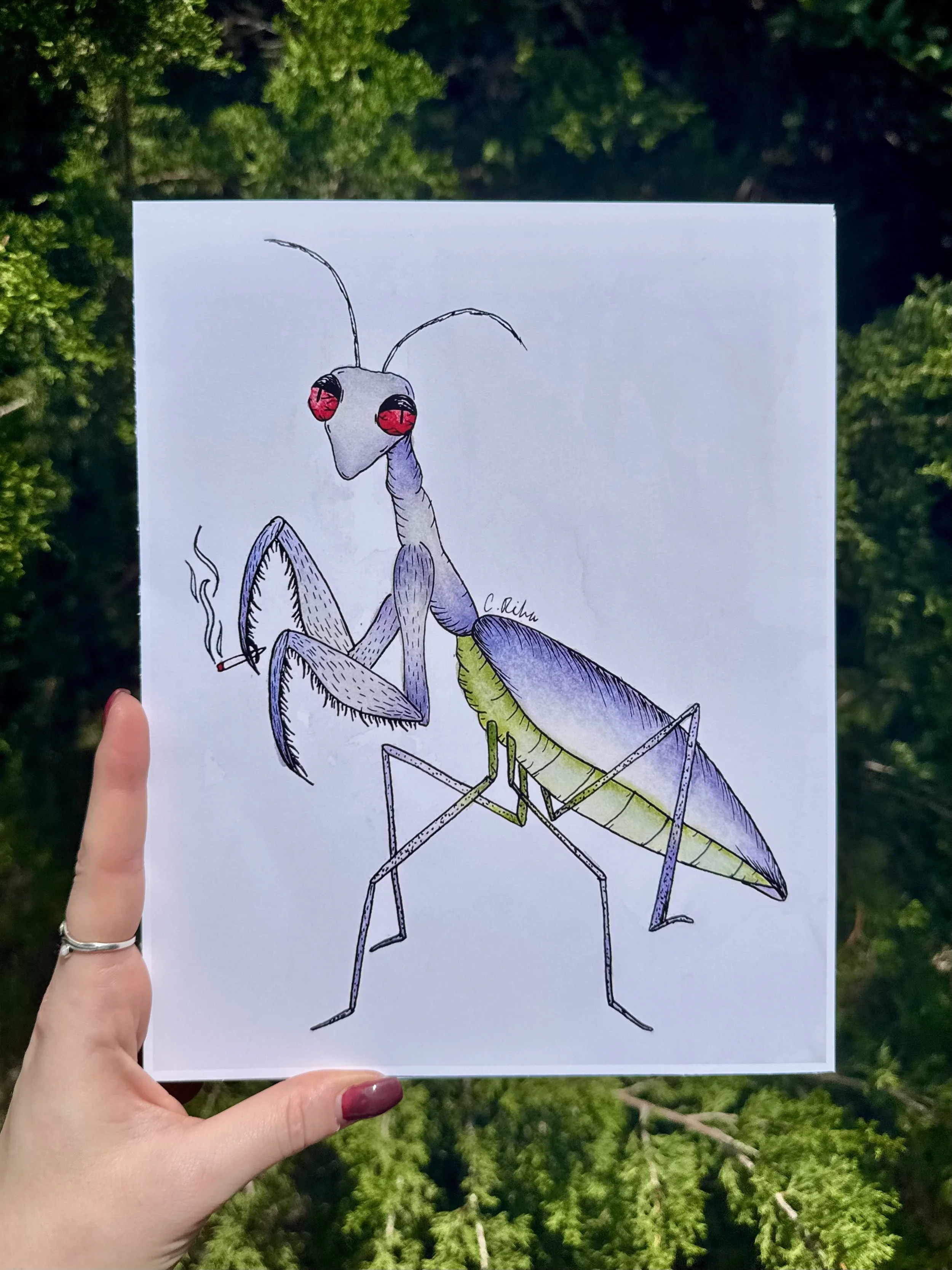 “Stoned Mantis” - Print