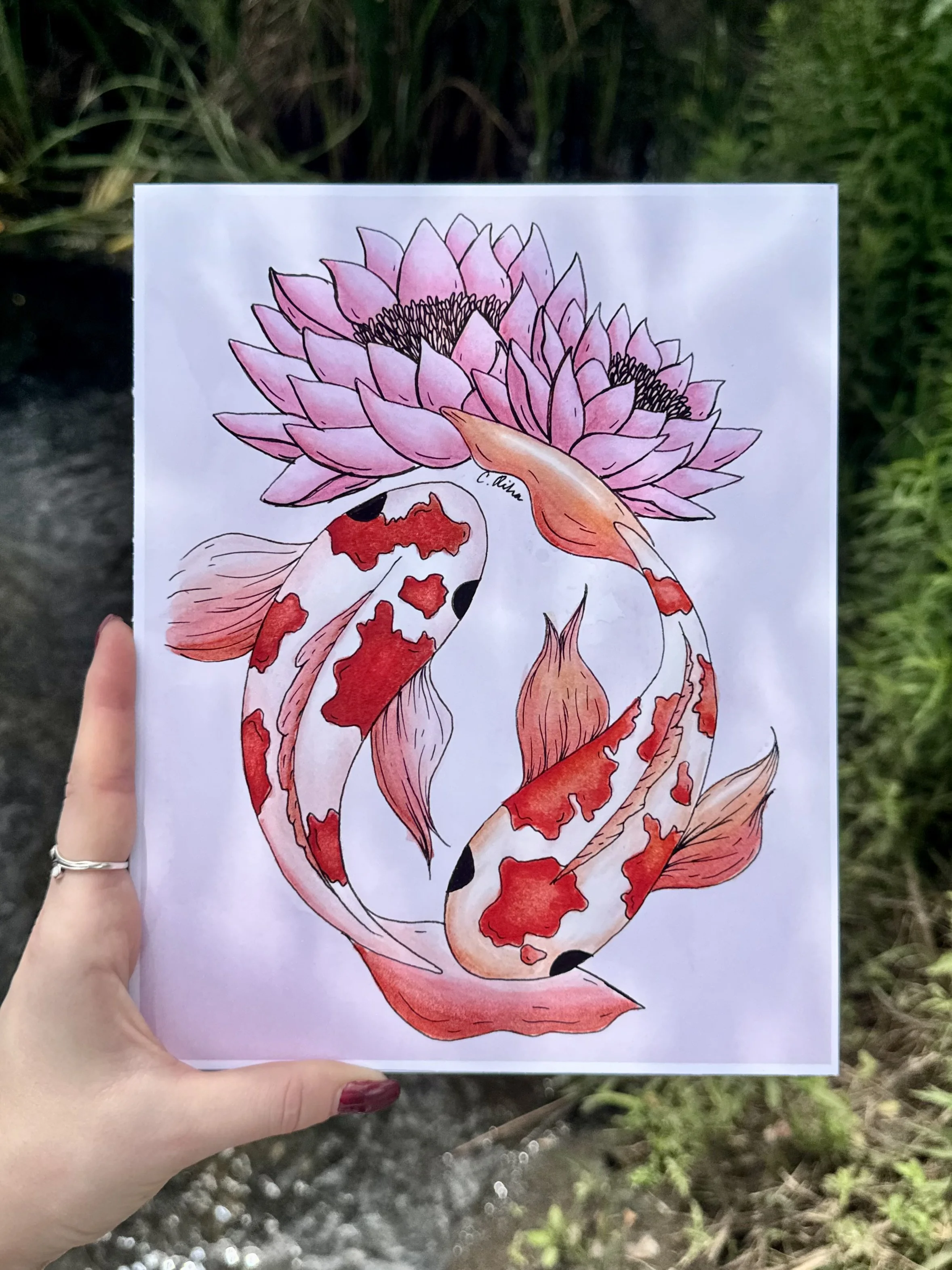 “Lotus & Koi” - Print