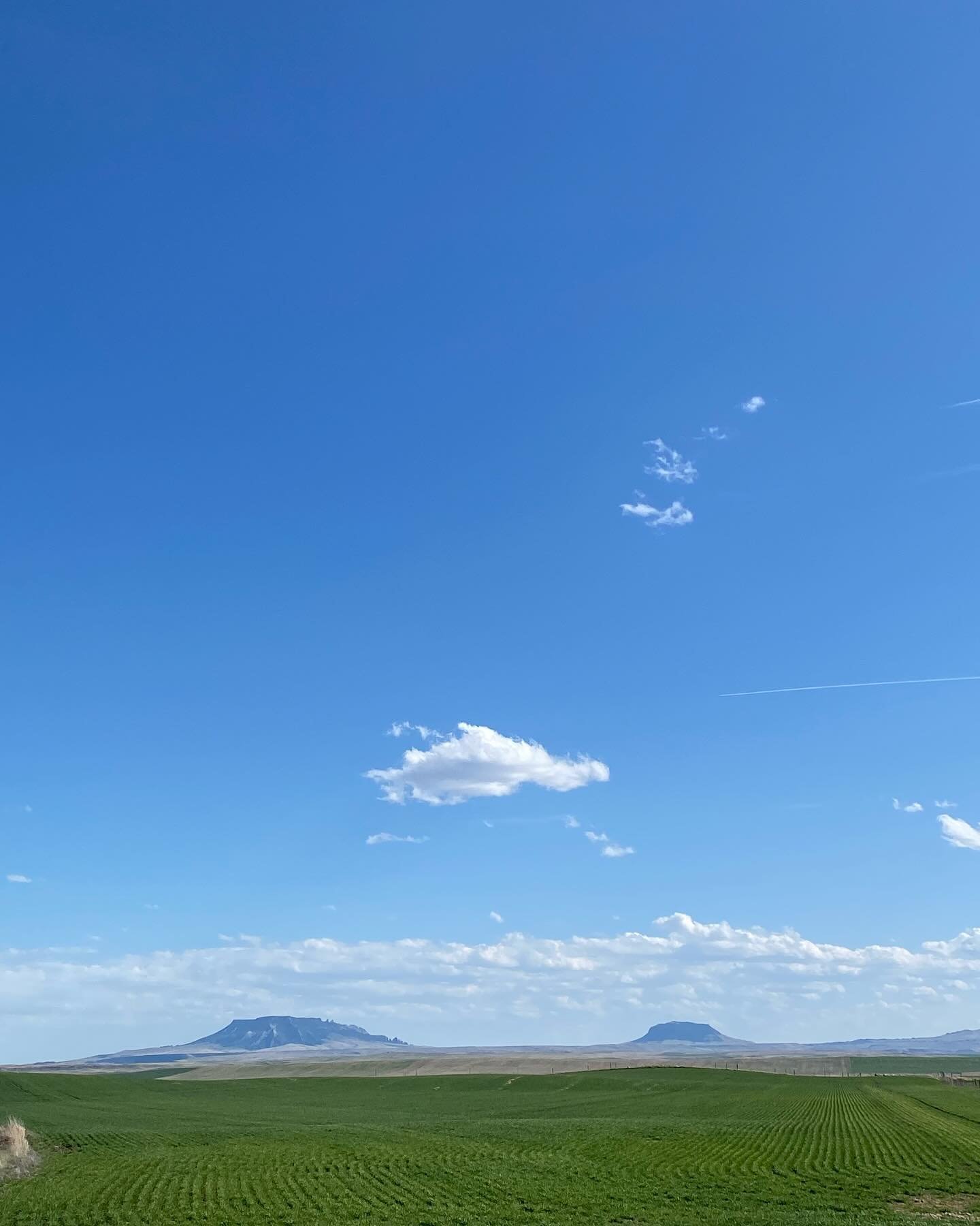 Monolith times two
Green versus blue splashed with white
Ageless witnesses 

#nationalpoetrymonth #haikuaday #haiku #fivesevenfive #nature #time #fortbentonlibrary #fortbentonmontana #fortbenton #chouteaucounty #montana