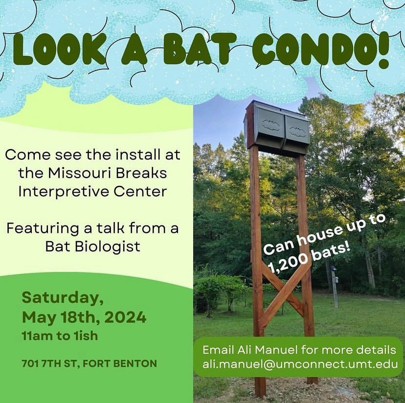 ~Fort Benton Friday~

There will be a bat condo at the BLM Interpretive Center! A bat condo can house up to 1,200 bats. Bats are an important part of local ecosystems and can help keep the mosquito population down without having to use hazardous chem