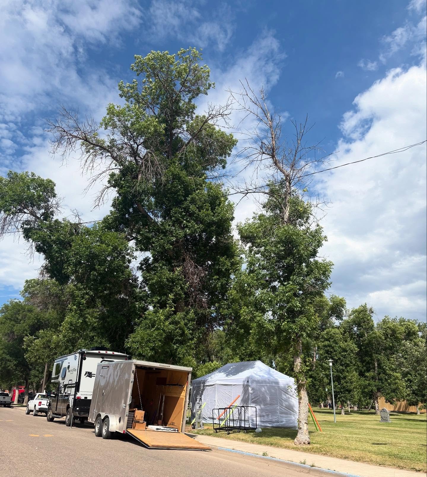 ~Today Is~

Today is Summer Celebration 2025 Eve!

#todayis #summercelebration #fortbentonlibrary #fortbentonmontana #fortbenton #chouteaucounty #montana