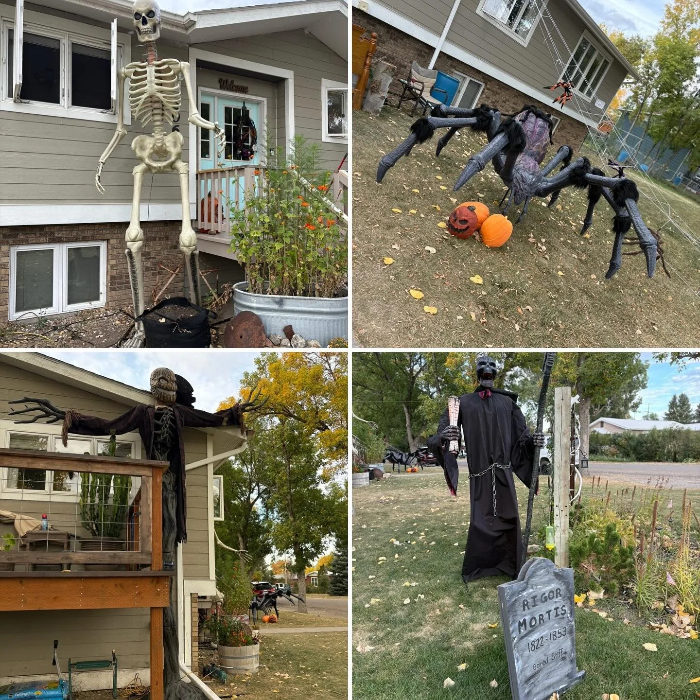 ~Fort Benton Friday~

It&rsquo;s getting spooky!

#fortbentonfriday #spookyseason #yardart #fortbentonlibrary #fortbentonmontana #fortbenton #chouteaucounty #montana