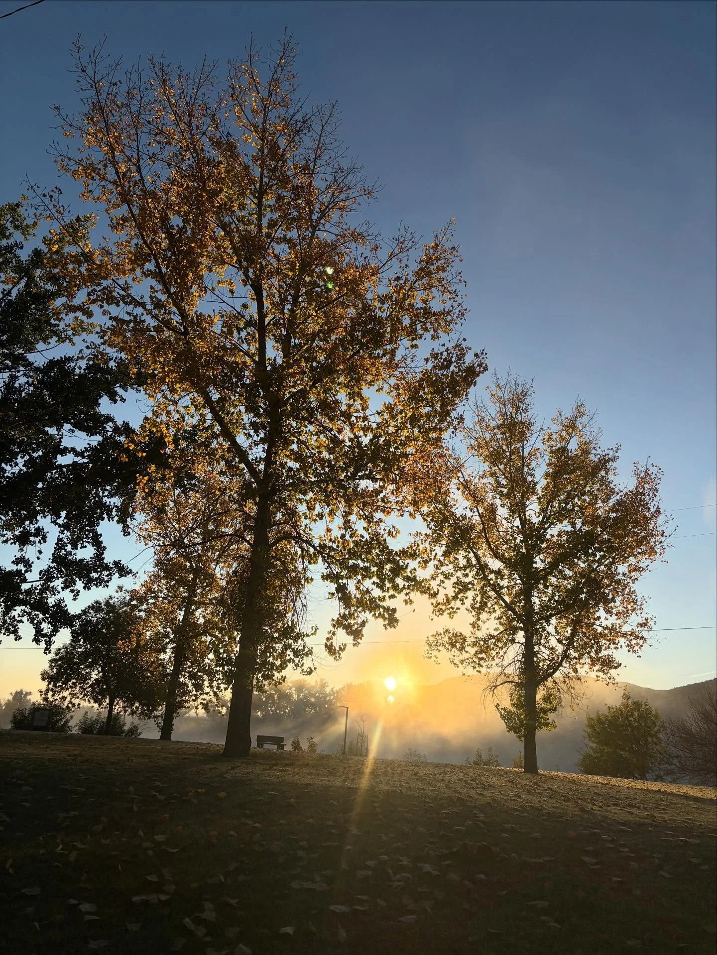 ~Mellow Monday~

#mellowmonday #missouririver #mightymo #sunrise #fog #autumn #fortbentonlibrary #fortbentonmontana #fortbenton #chouteaucounty #montana