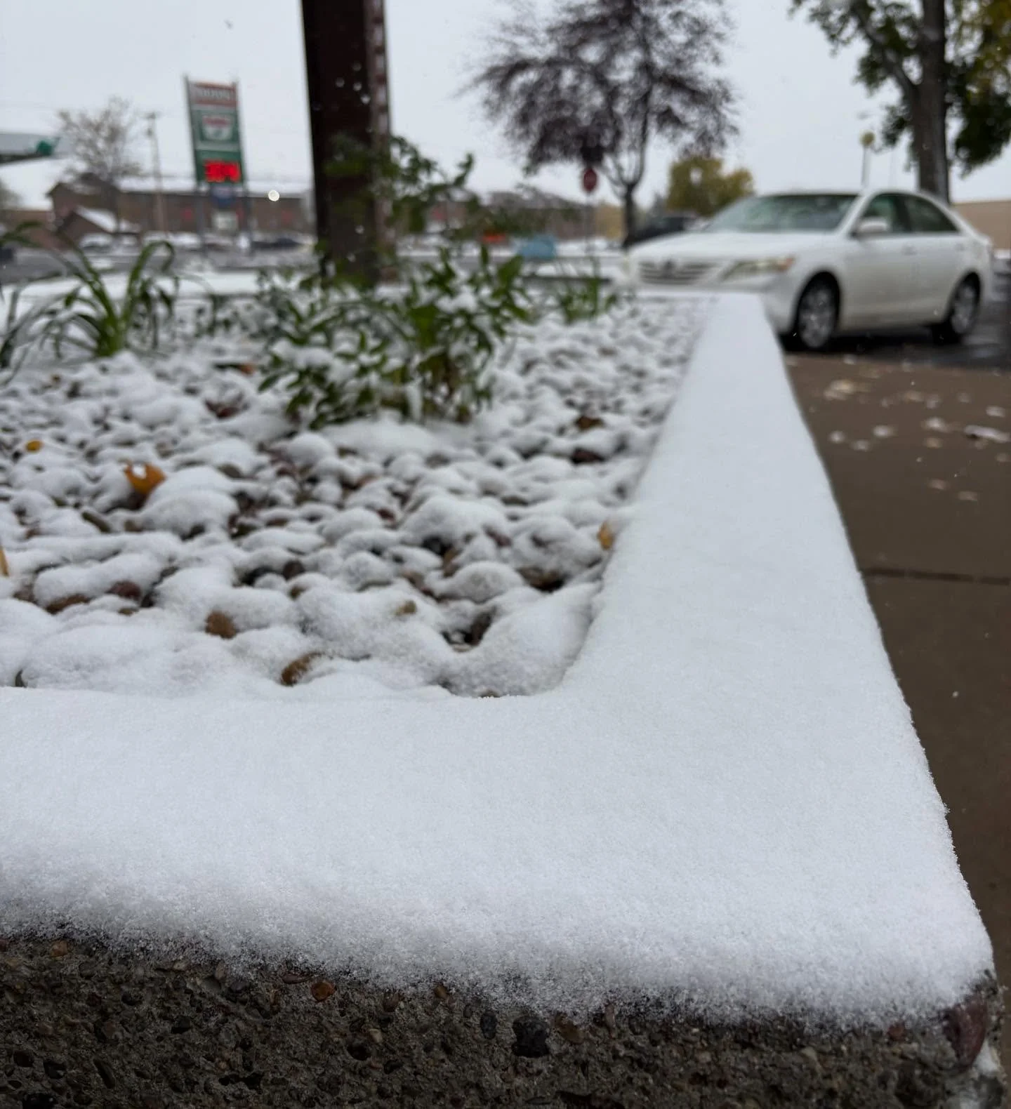 ~Mellow Monday~

Reminder that the #fortbentonlibrary is closed on Monday, October 13th.

#mellowmonday #fallsnow #autumn #snow #fortbentonlibrary #fortbentonmontana #fortbenton #chouteaucounty #montana