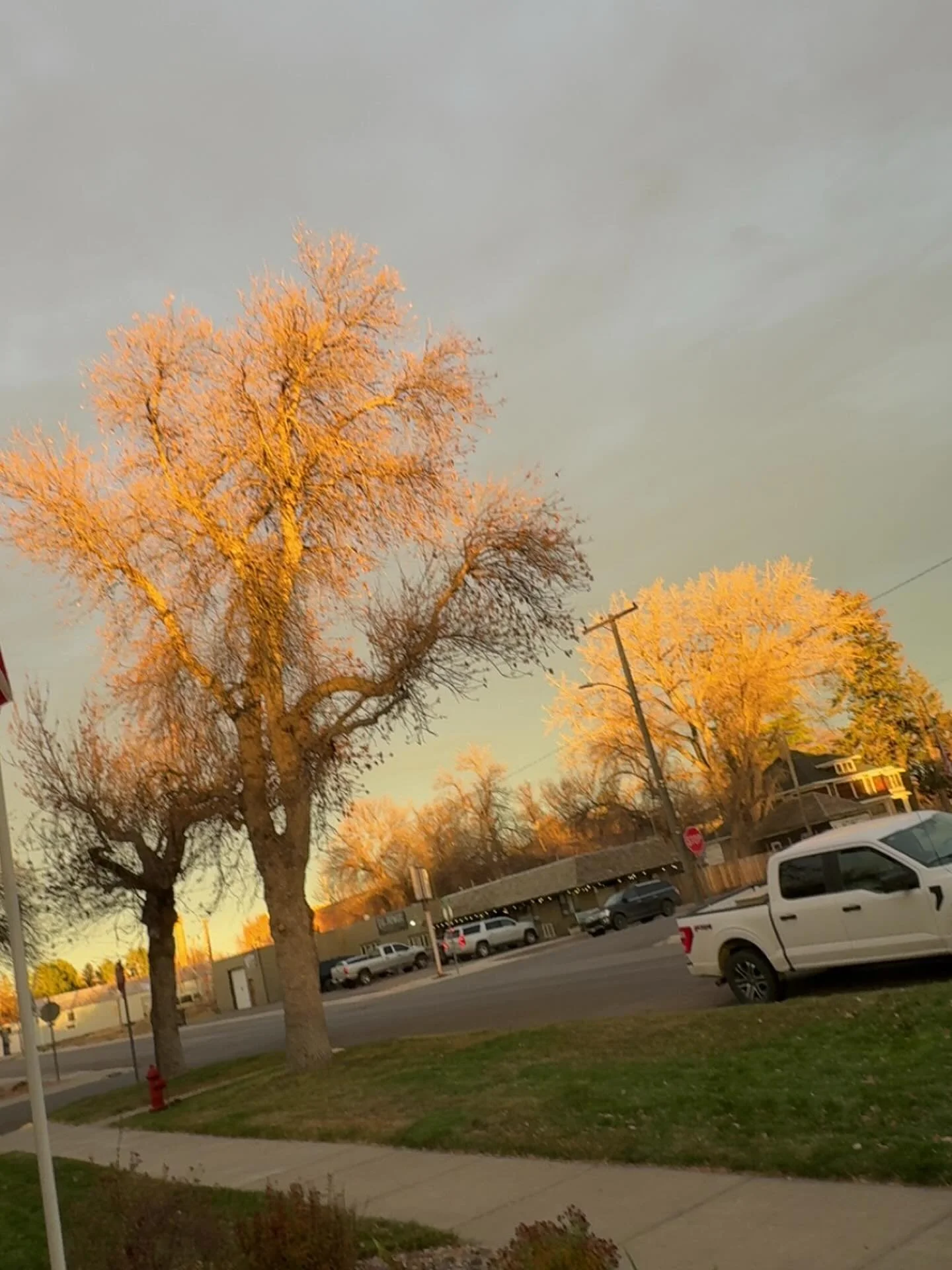 ~Thankful~

Day 6

Thankful for the afternoon golden hour.

#thankful #gratitude #thanksgiving #november #fortbentonlibrary #fortbentonmontana #fortbenton #chouteaucounty #montana