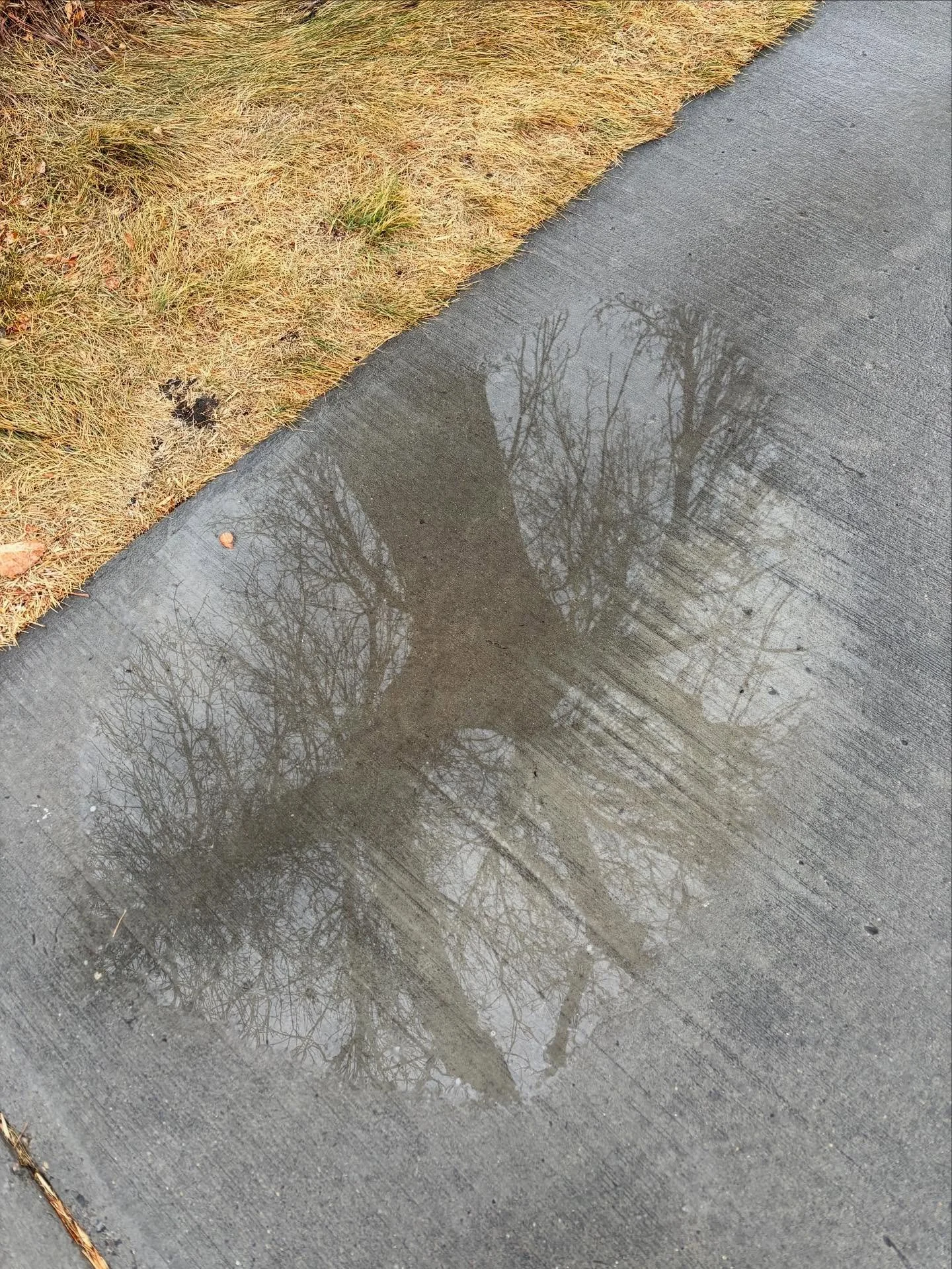 ~Thankful~

Day 15

Thankful for moisture. And the perspective that it brings.

#thankful #gratitude #thanksgiving #november #nature #reflections #art #artinnature #moisture #rain #fortbentonlibrary #fortbentonmontana #fortbenton #chouteaucounty #mon