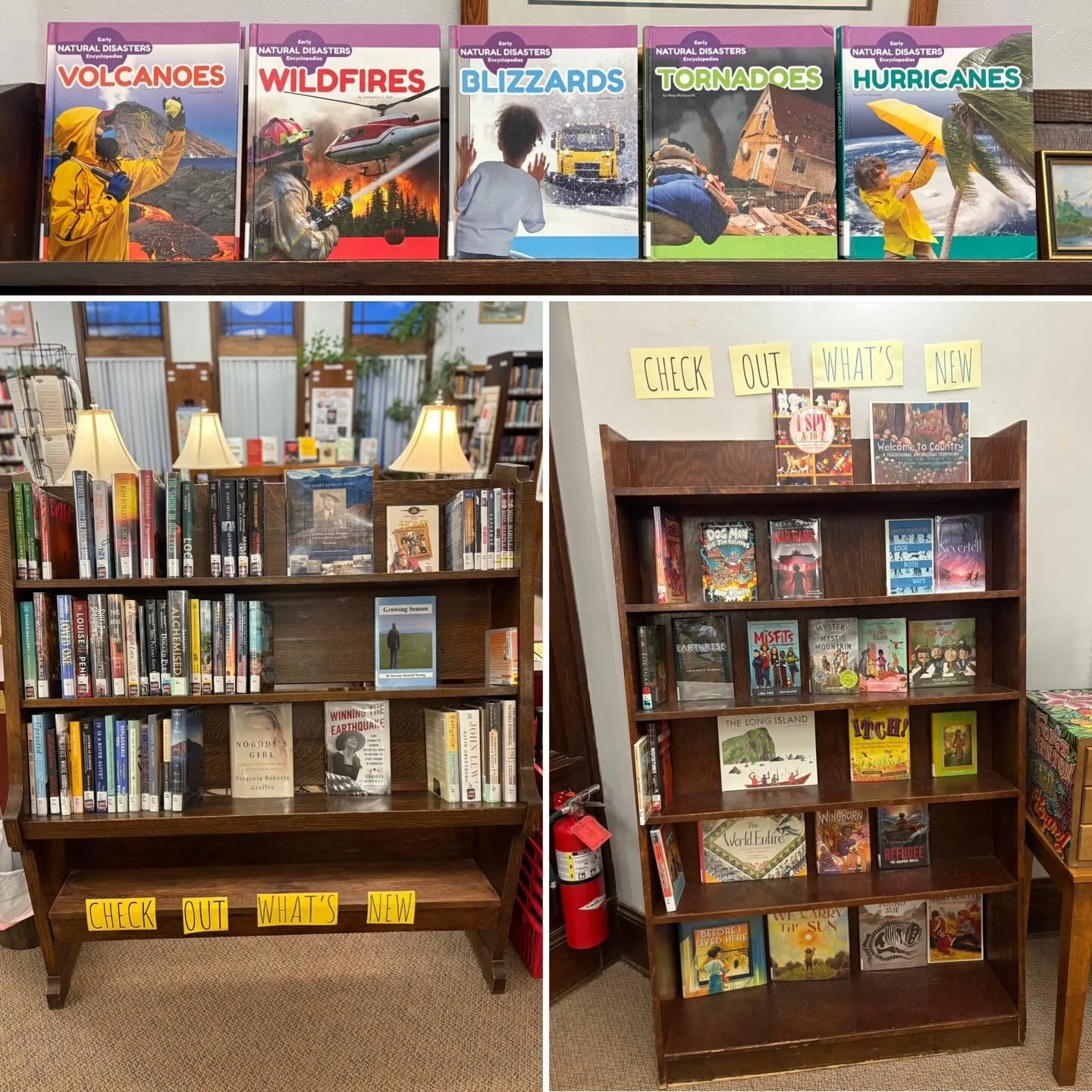 ~Thankful~

Day 17

Thankful for new books!

#thankful #gratitude #thanksgiving #november #newbooks #fortbentonlibrary #fortbentonmontana #fortbenton #chouteaucounty #montana