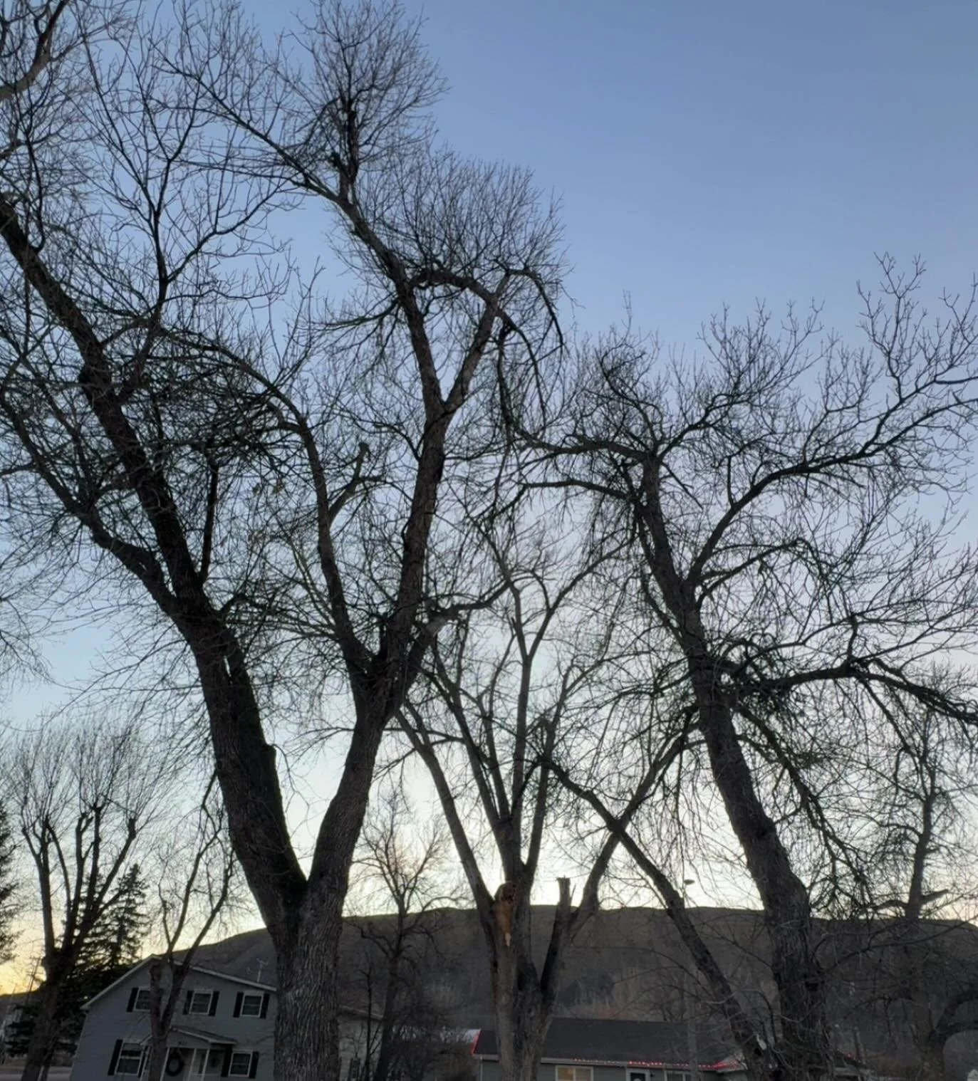 ~Today Is~

Today is January 1, 2026. 

The #fortbentonlibrary is closed in observance of New Year&rsquo;s Day, but will be open for regular hours January 2.

The staff wishes you a bright and merry New Year!

#todayis #newyearsday #fortbentonmontana