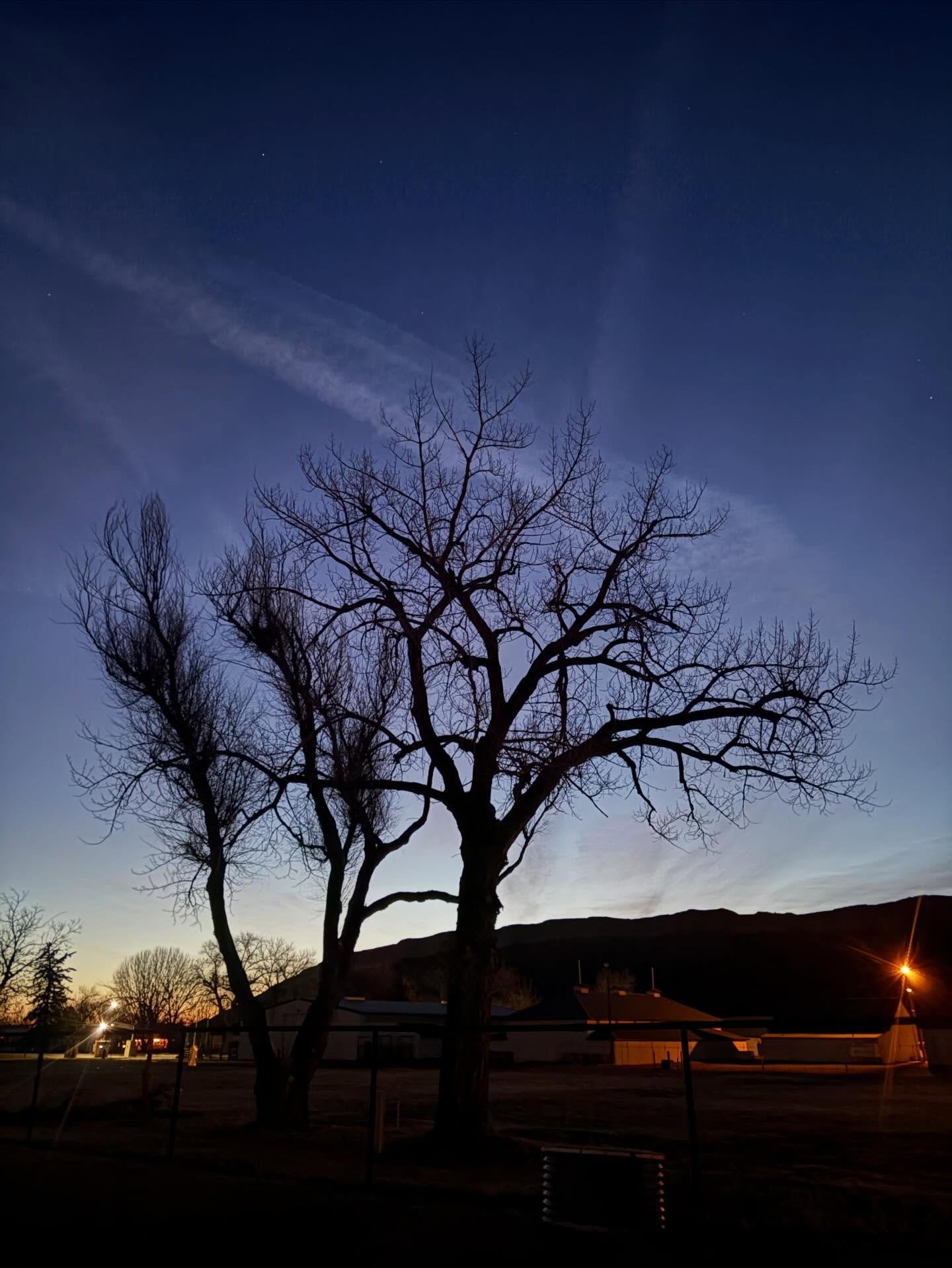 ~Mellow Monday~

Dawn

#mellowmonday #dawn #fortbentonlibrary #fortbentonmontana #montana