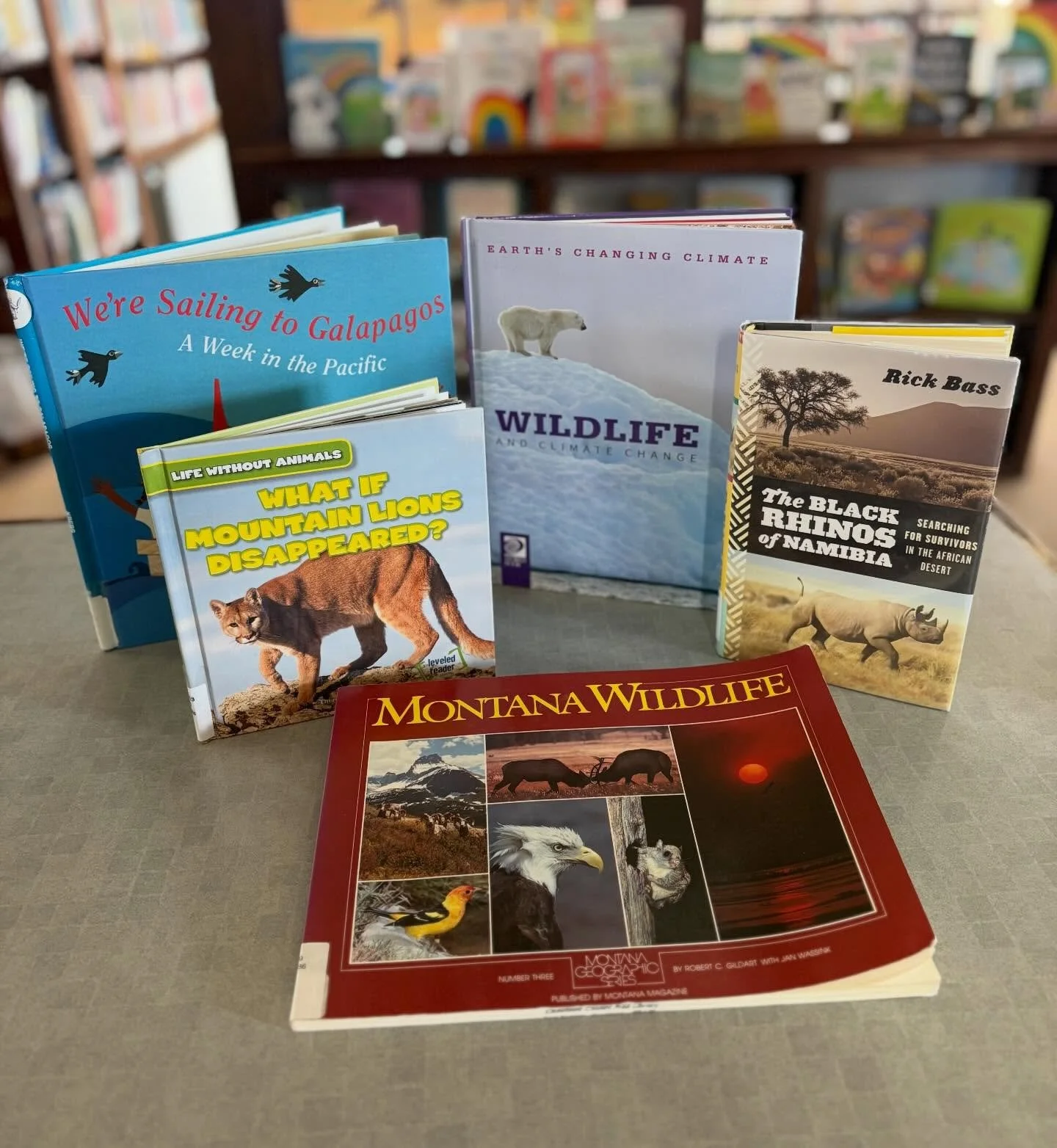 ~Trivia Tuesday~

March 3rd is World Wildlife Day!

&bull;World Wildlife Day is for connecting people with the natural world and inspiring continued learning and action for animals and plants beyond the day.
&bull;There are fewer than 5,000 black rhi