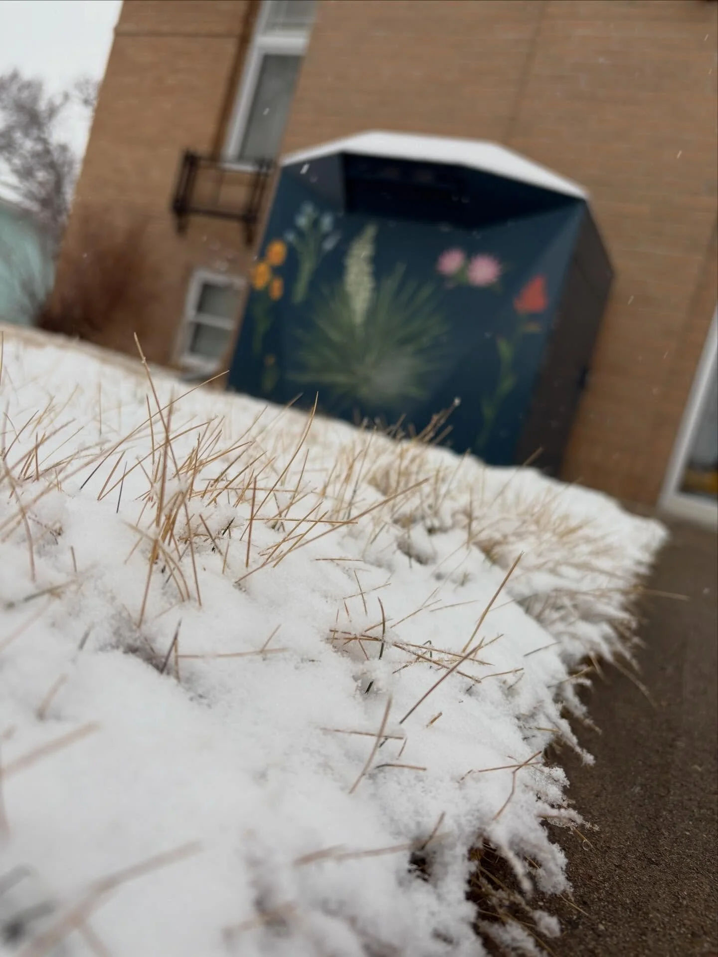 ~Fort Benton Friday~

{winter}

Just in time for track season

[We need the moisture]

#fortbentonfriday #winter #moisture #fortbentonlibrary #fortbentonmontana