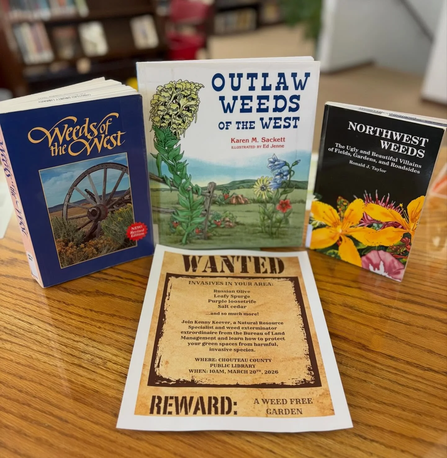 ~Trivia Tuesday~

&bull;A weed is simply a plant that someone thinks is growing in the wrong place at the wrong time.
&bull;Most people consider dandelions a weed, but they have nutritious greens that provide food for wildlife, livestock, and sometim