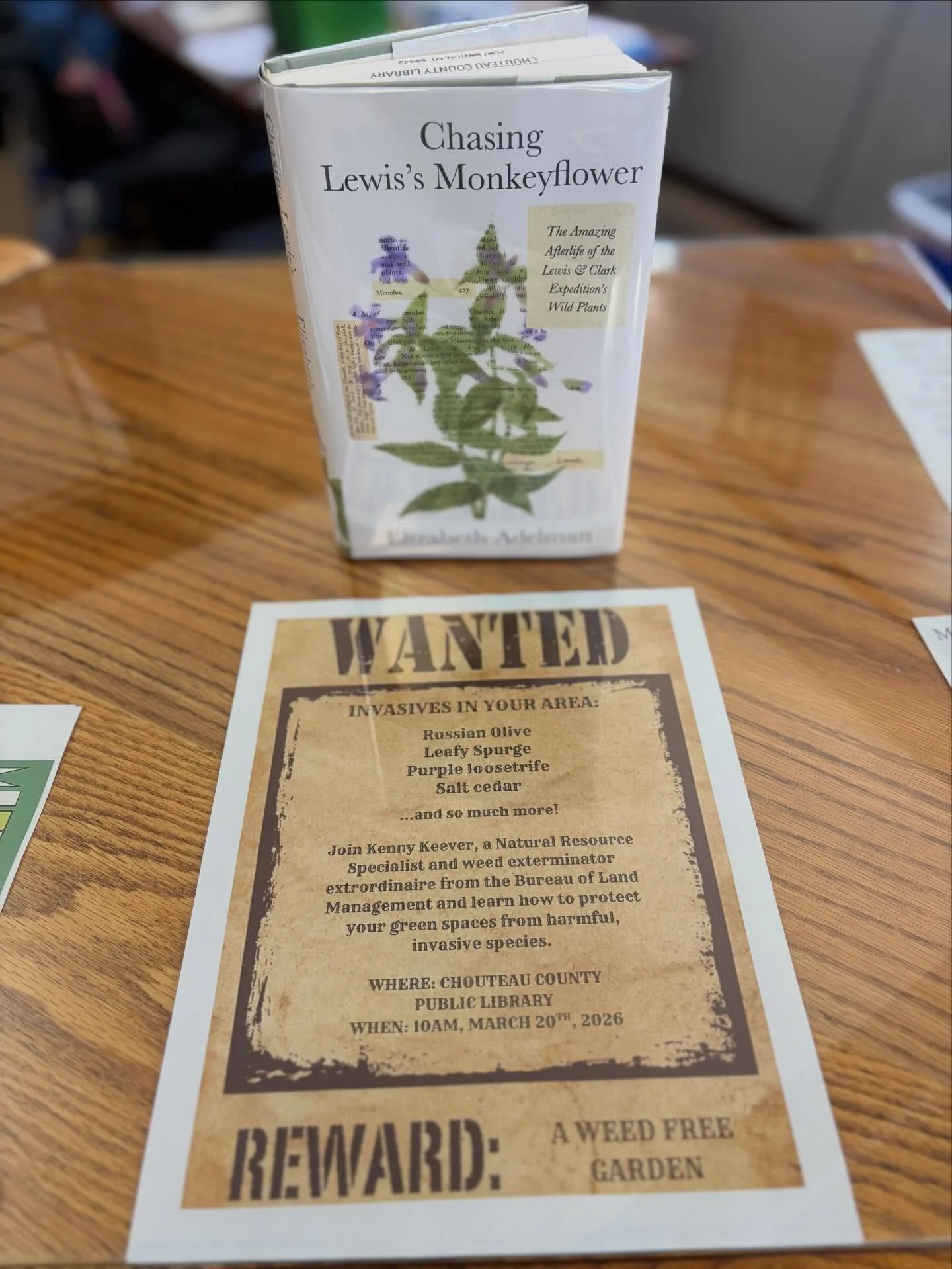 ~Wonder Wednesday~

Do you wonder what native plants are for our region?

#checkout this new adult nonfiction at the #fortbentonlibrary. You can #learnmore about:

&bull;The Oregon Grape - Berberis aquifolium - that Lewis collected on April 11, 1806,
