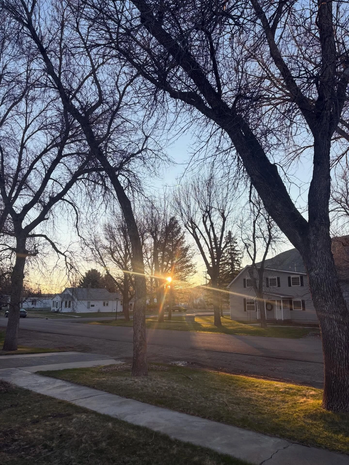 Sunbeams pierce the air
Leafless limbs waiting to bud
Another day dawns

#nationalpoetrymonth #haiku #haikuaday #fortbentonlibrary #fortbentonmontana