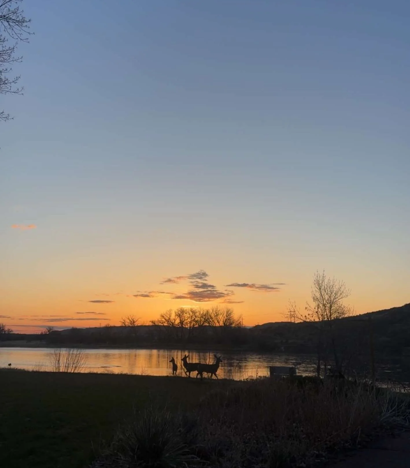 Sunrise silhouettes
Orange melts into morning
Peace like a river

#nationalpoetrymonth #haiku #haikuaday #fortbentonlibrary #fortbentonmontana