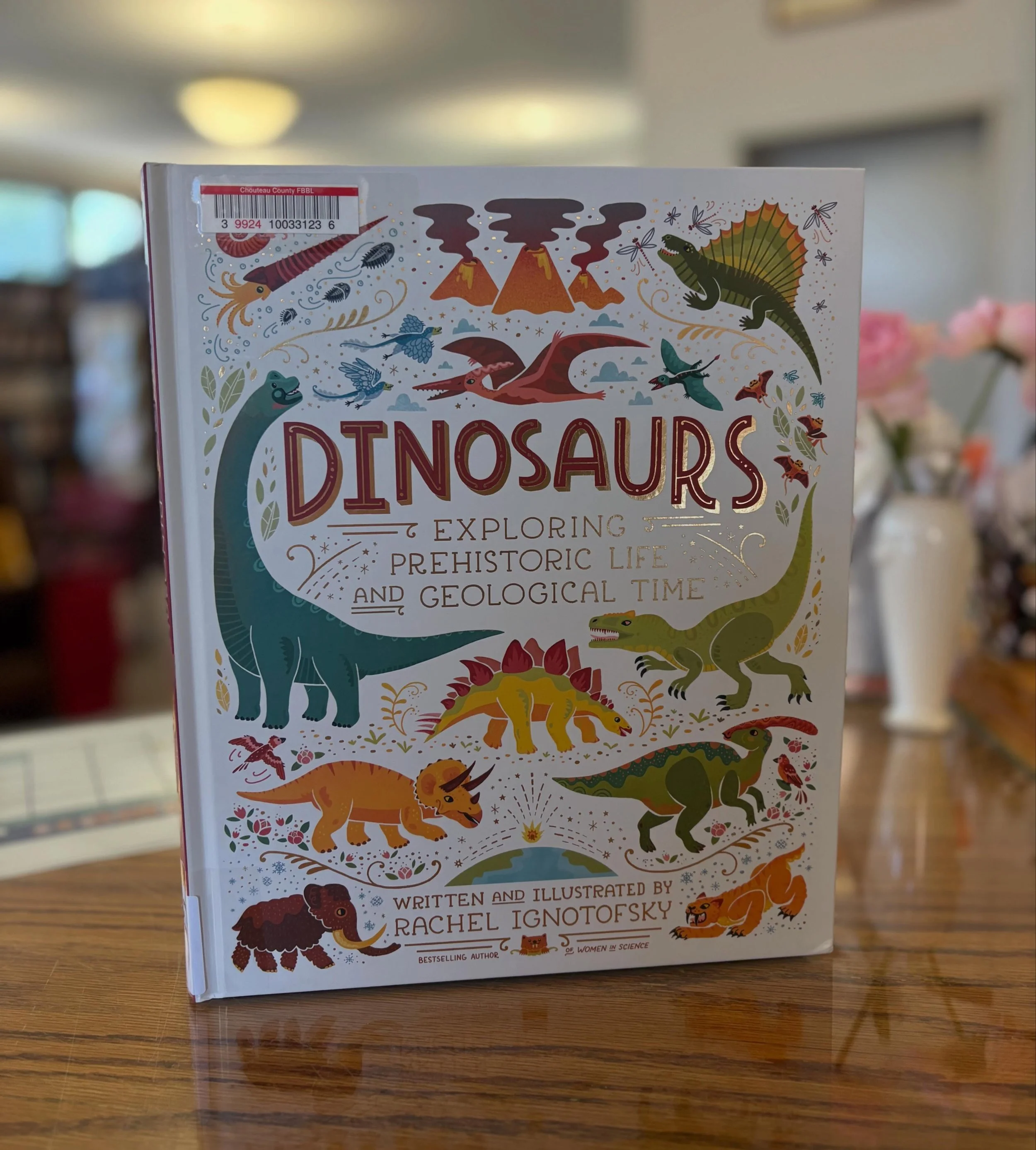 ~Wonder Wednesday~

Have you ever wondered &hellip; what is a dinosaur?

Reptile ➡️ Archosaurs ➡️ Dinosaurs

Under that umbrella:
&bull;Pterosaurs
&bull;Pseudosuchians
&bull;Sauropods
&bull;Theropods
&bull;Thyreophorans
&bull;Marginocephalians
&bull;