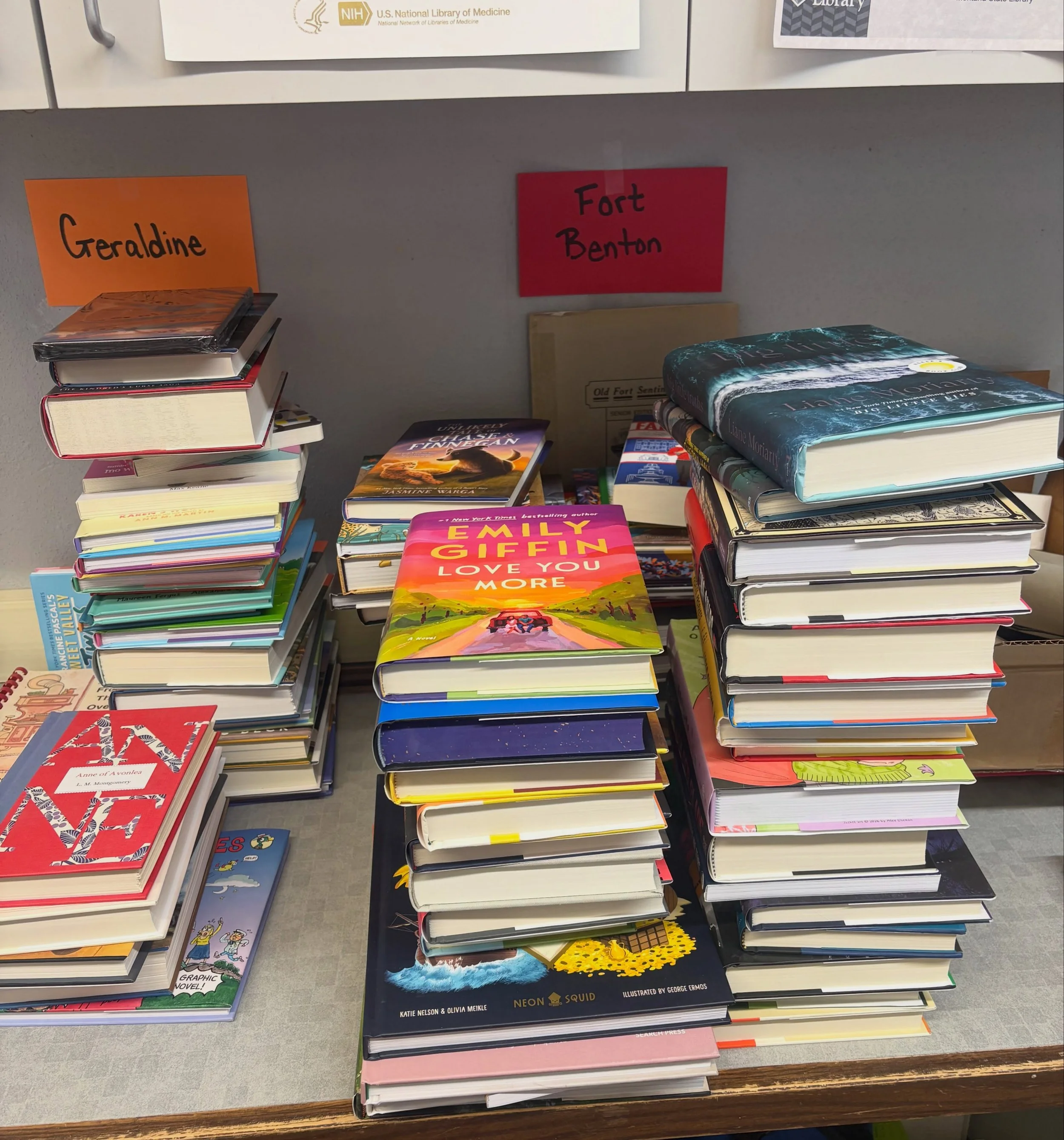 ~Wonder Wednesday~

Have you been wondering if there are new materials at the #fortbentonlibrary?

There are! Books and DVDs are being processed to give you something new! Stop by and #checkitout.

#wonderwednesday #newbooks #fortbentonmontana