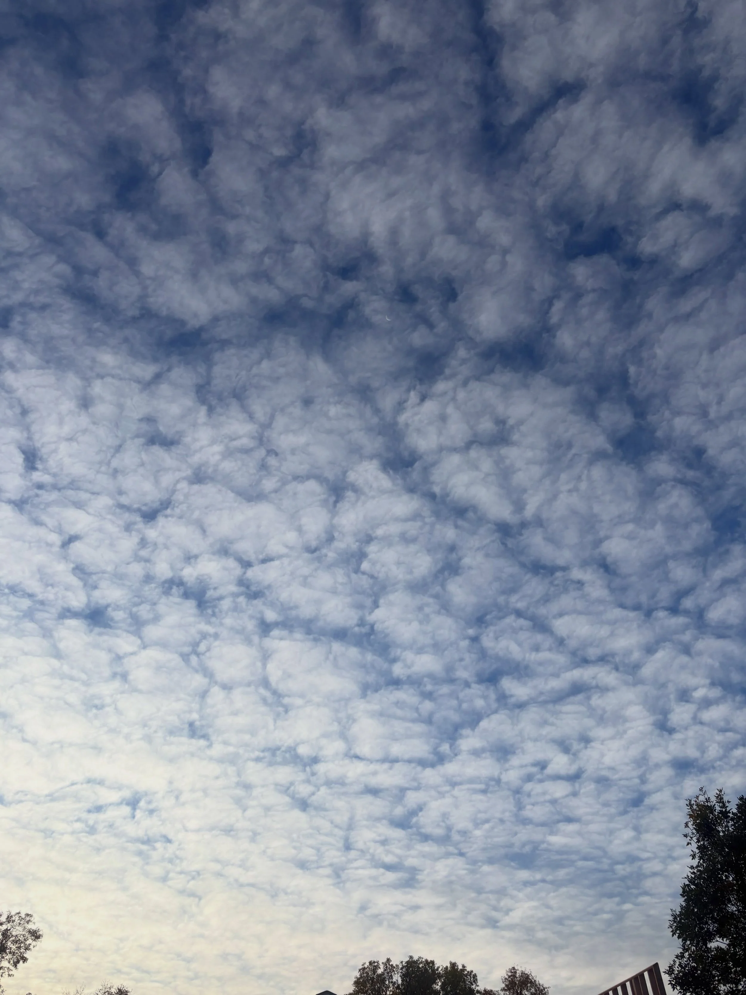 ~Mellow Monday~

#mellowmonday #clouds #fortbentonlibrary #fortbentonmontana #visitfortbenton