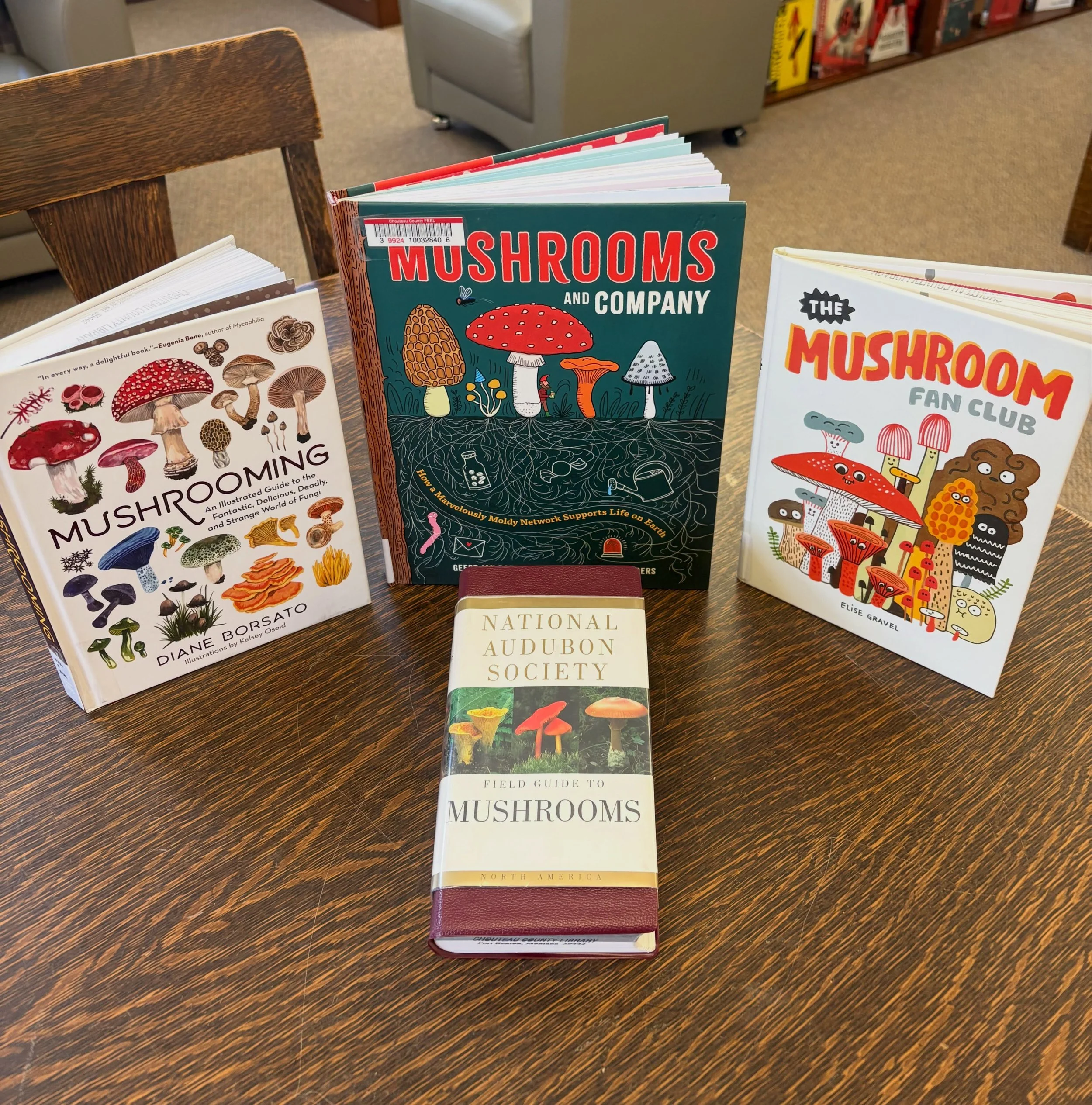 ~Today Is~

Today is National Mushroom Day!

&bull;White Button, Cremini, and Portobello mushrooms are actually the exact same species of mushrooms known as Agaricus bisporous. 
&bull;Pick up an indoor mushroom grow kit and grow your own mushrooms at