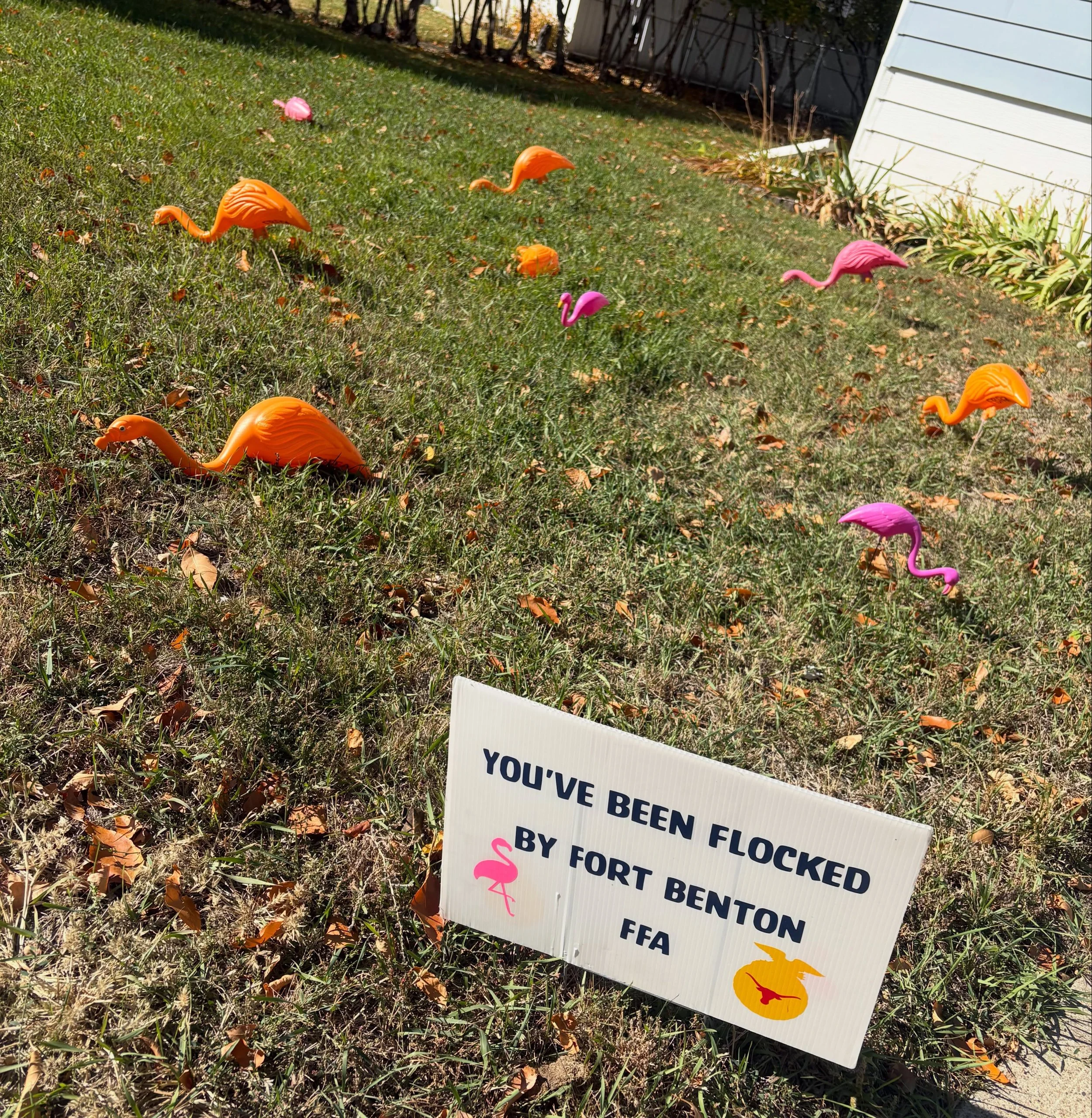 ~Fort Benton {flamingo} Friday~

Have you been flocked yet? Have you flocked someone? #checkout the #fortbentonhighschool FFA fundraiser. Support #longhornnation today!

#fortbentonfriday #fortbentonlibrary