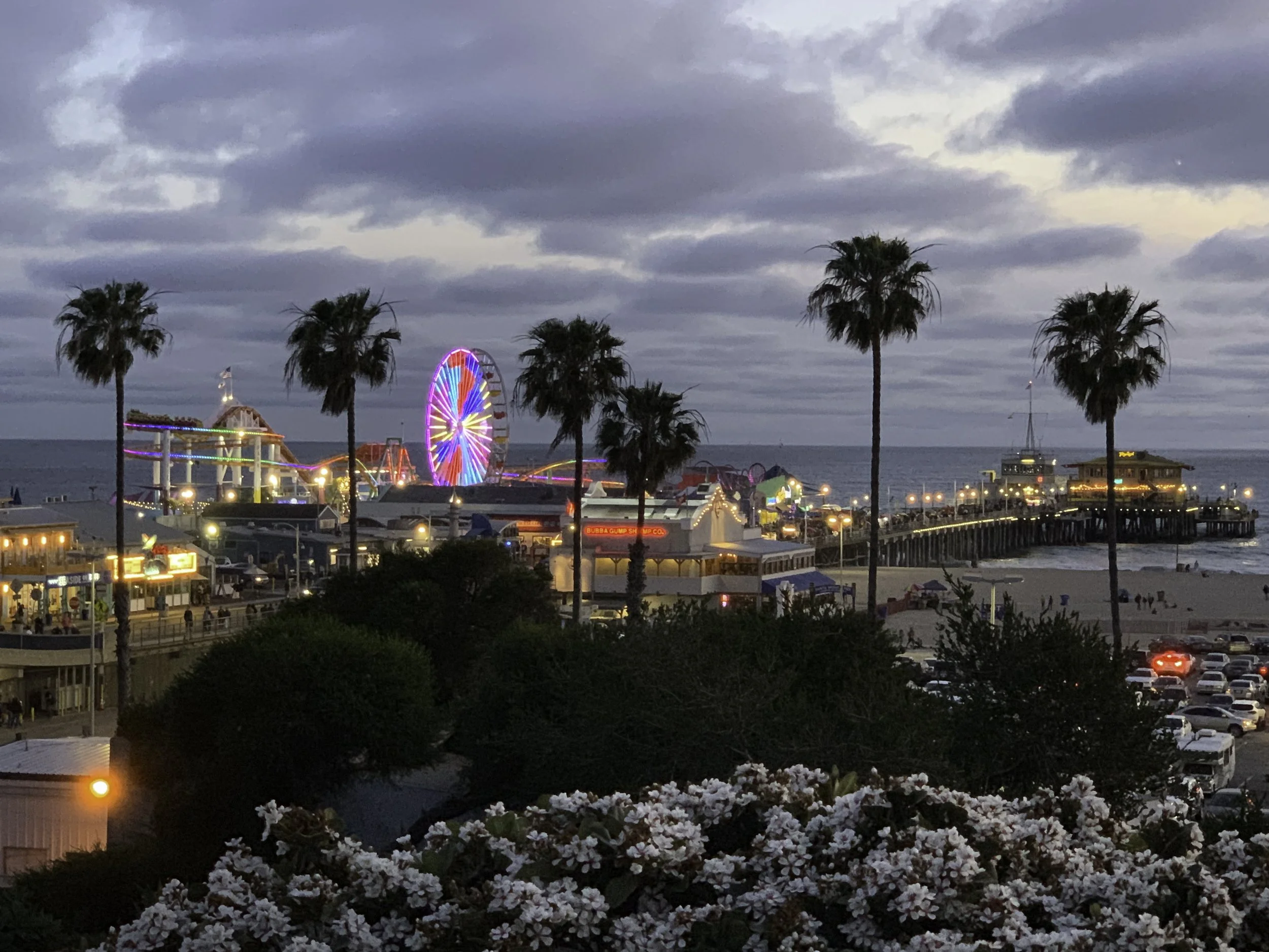 A view of a seaside amusement park with a lit-up Ferris wheel, palm trees, a pier, beach, and cloudy evening sky.