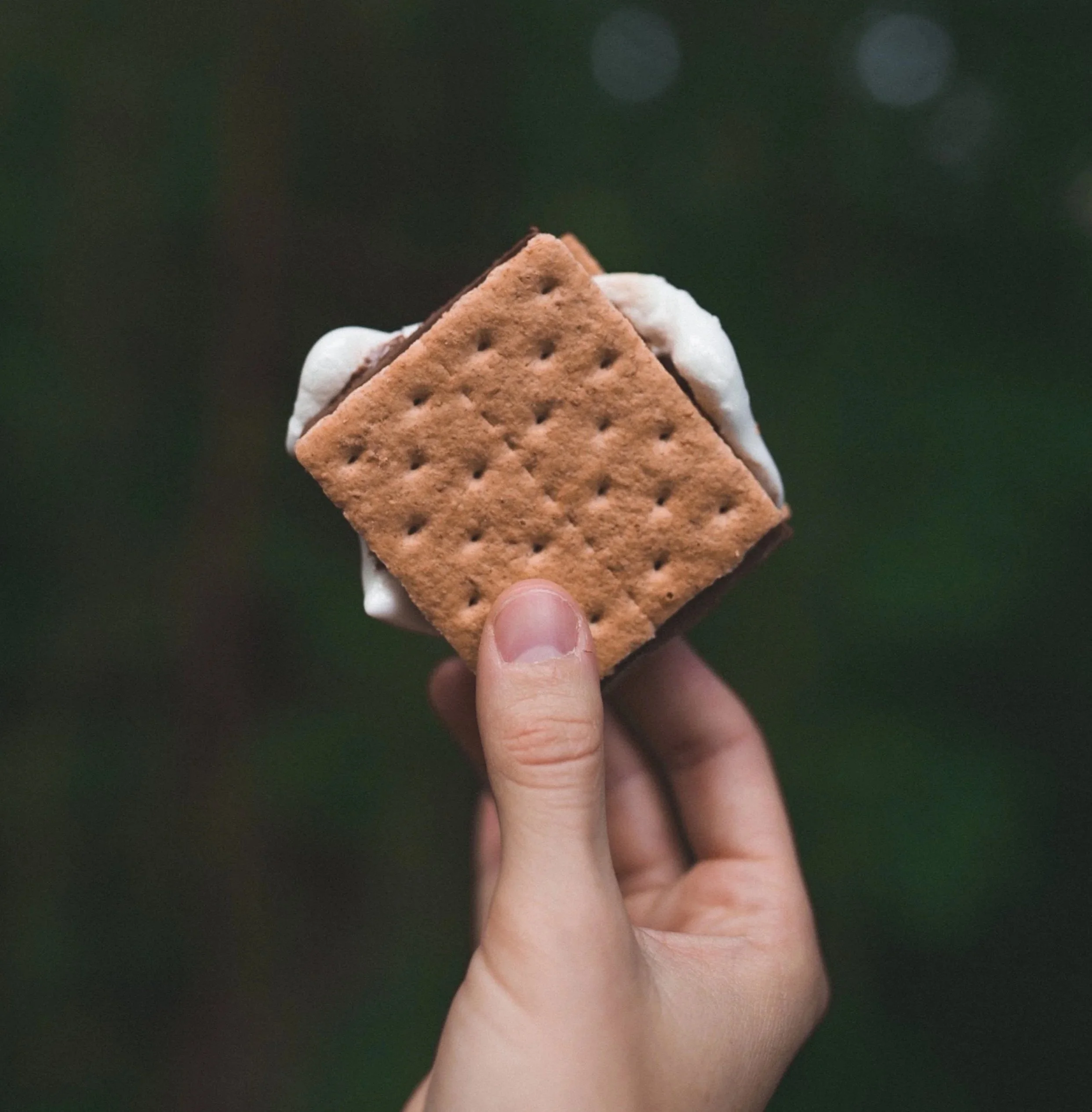 A hand holding a s'more, which is made with a graham cracker, marshmallow, and Hershey's chocolate, against a dark, blurred background.